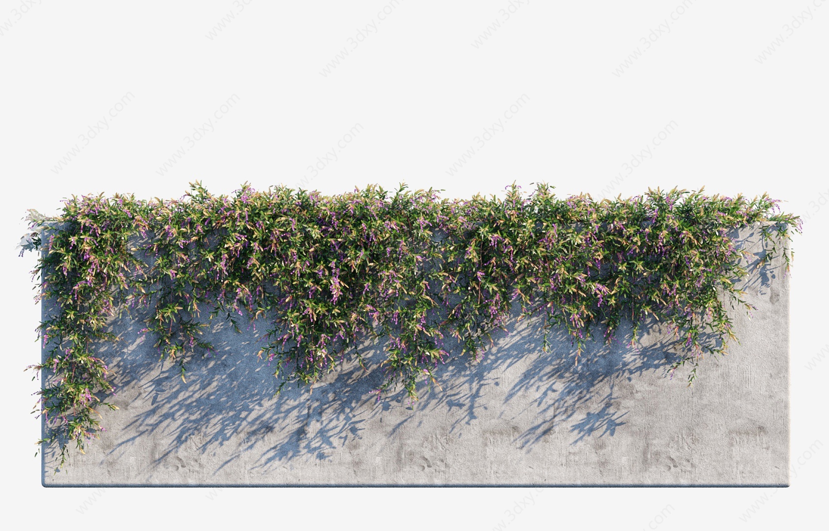 绿植藤蔓植物墙紫哈登柏豆3D模型