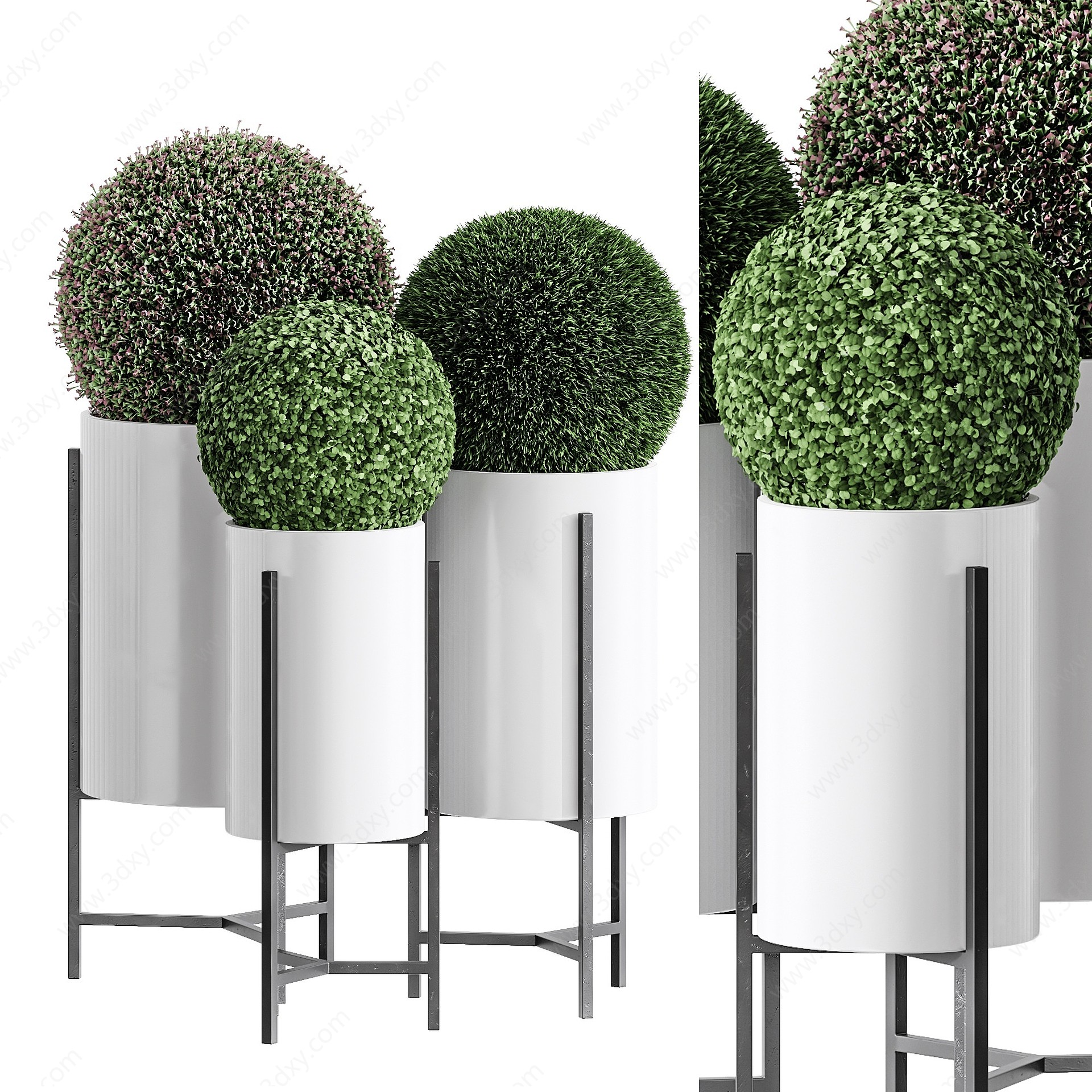 现代植物盆栽植物球3D模型