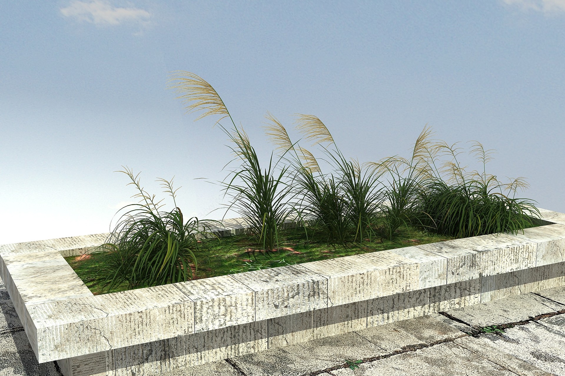 草本植物3D模型