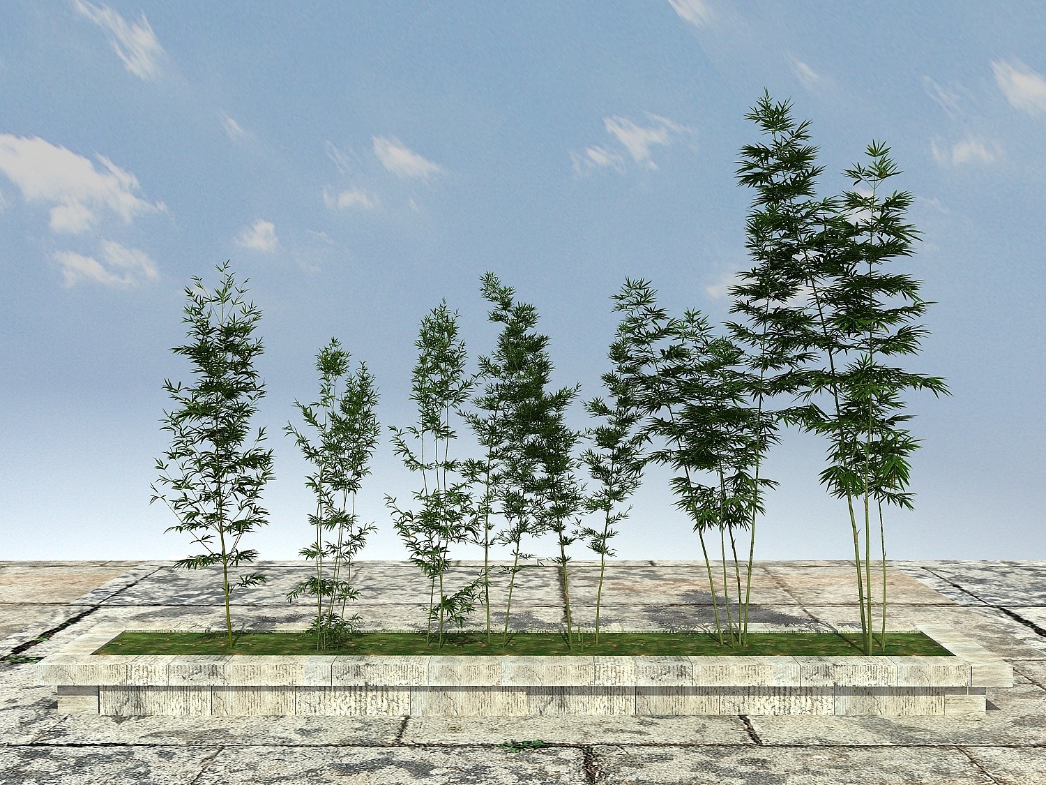 景观竹子植物3D模型