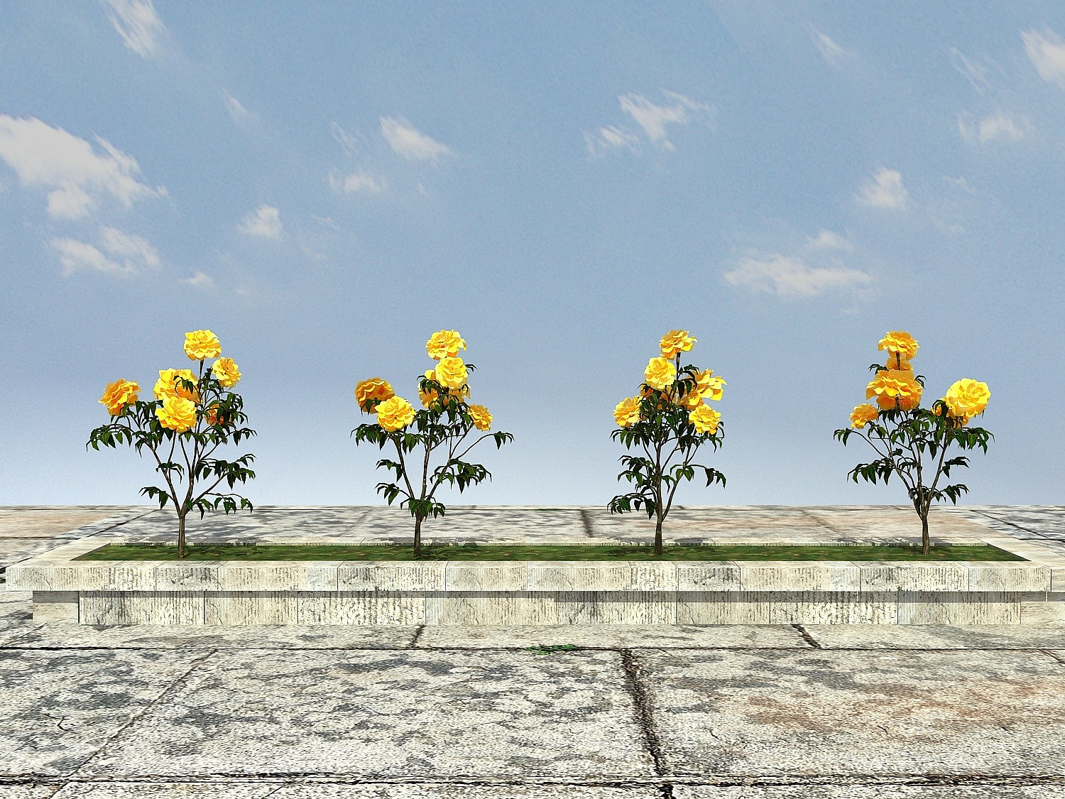 花草花卉植物3D模型