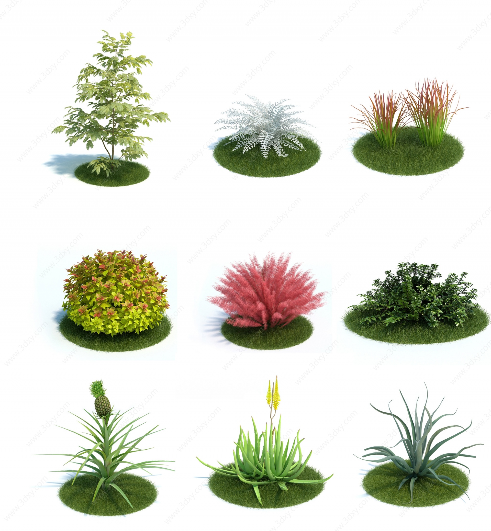 现代园林植物灌木3D模型