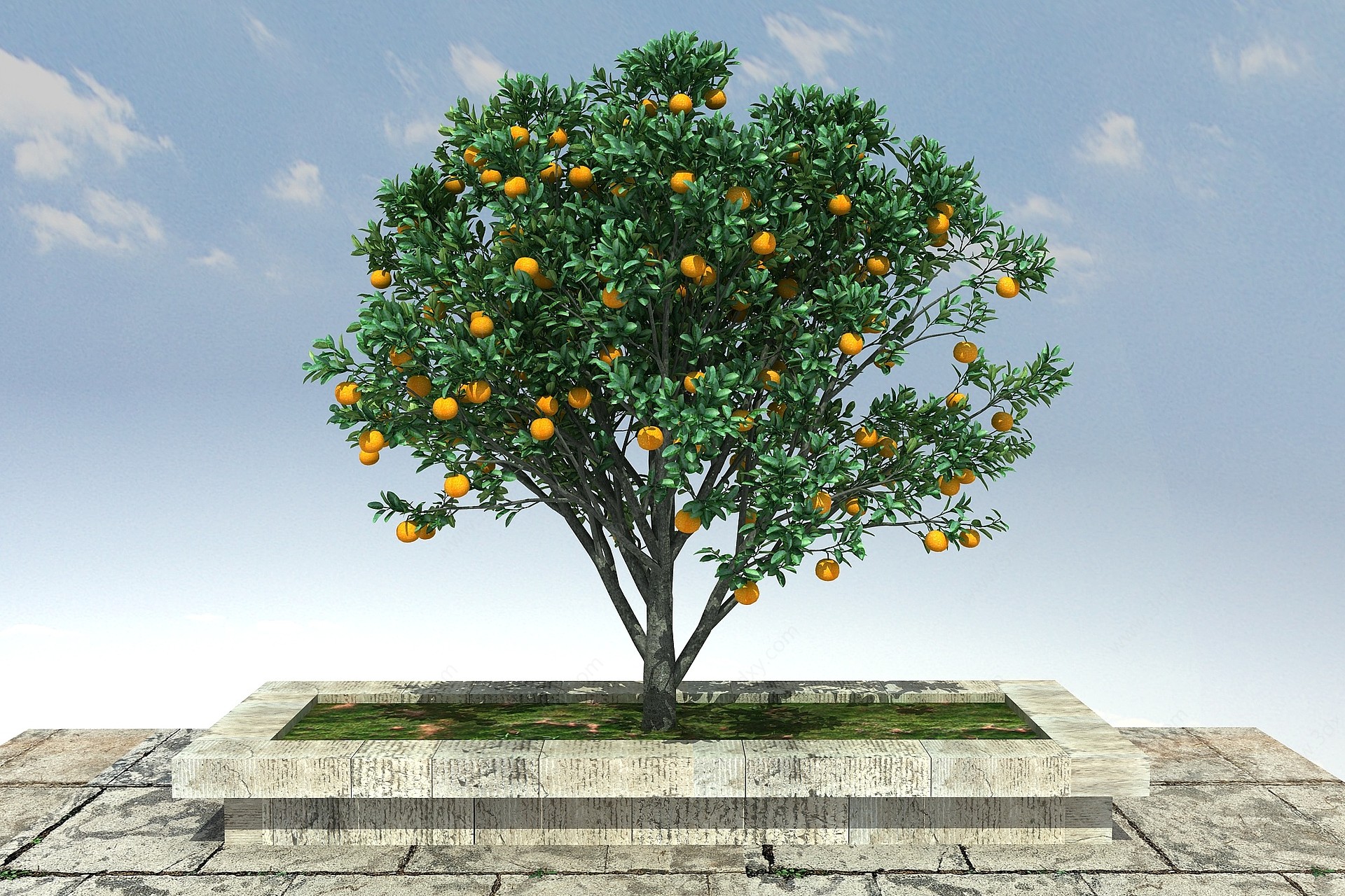 大树橙3D模型