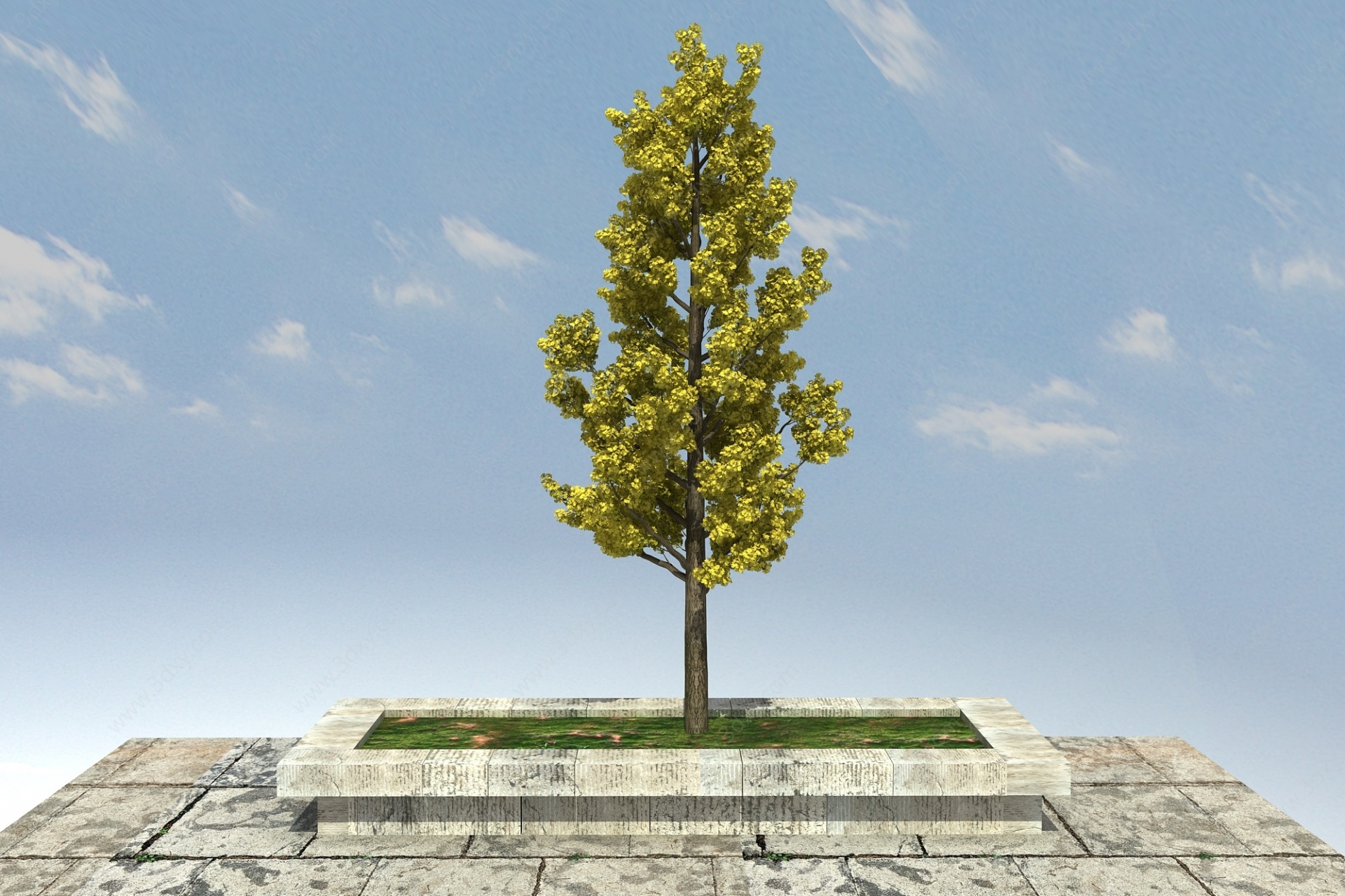 银杏大景观植物3D模型