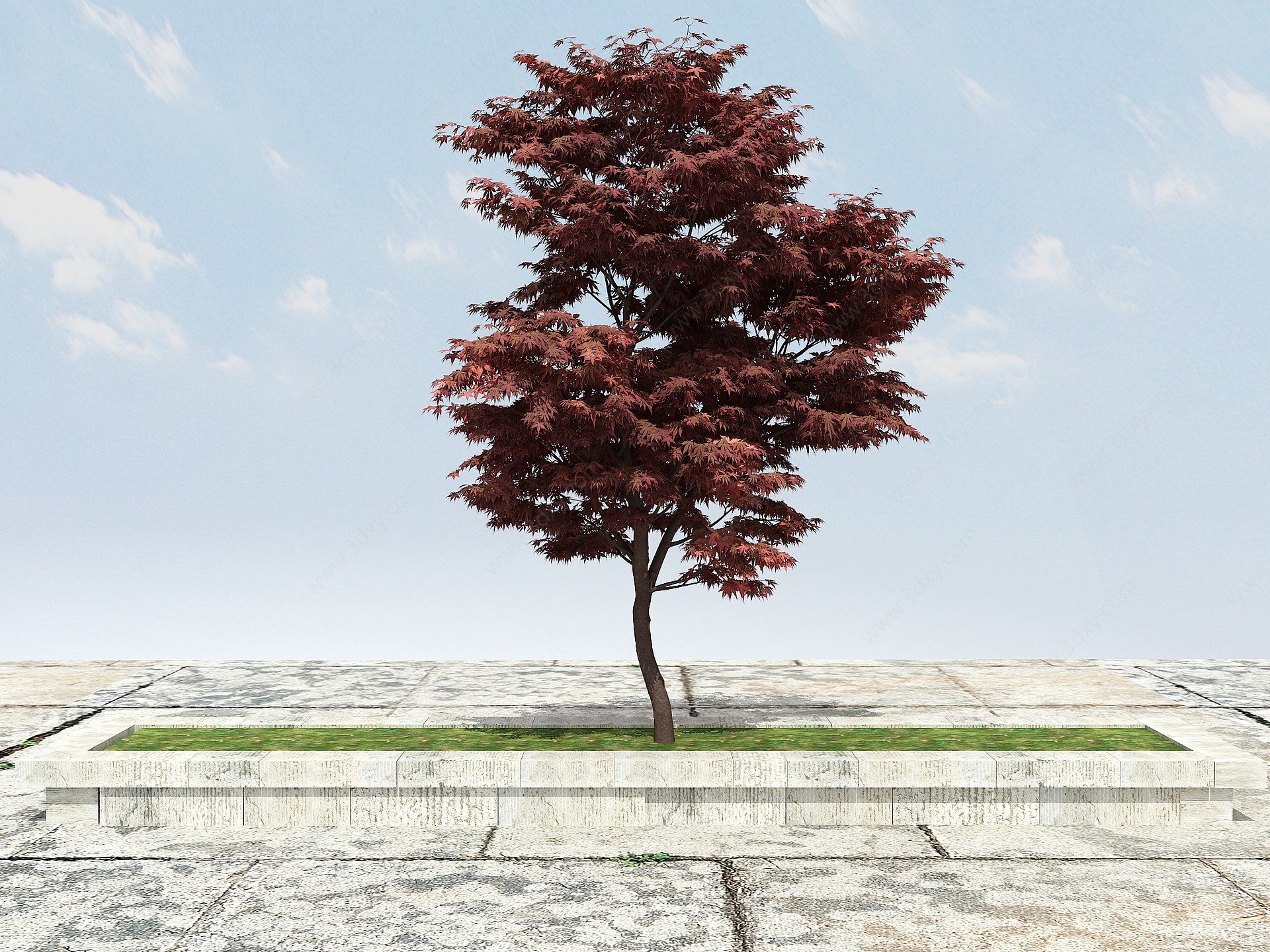 观赏植物红枫3D模型