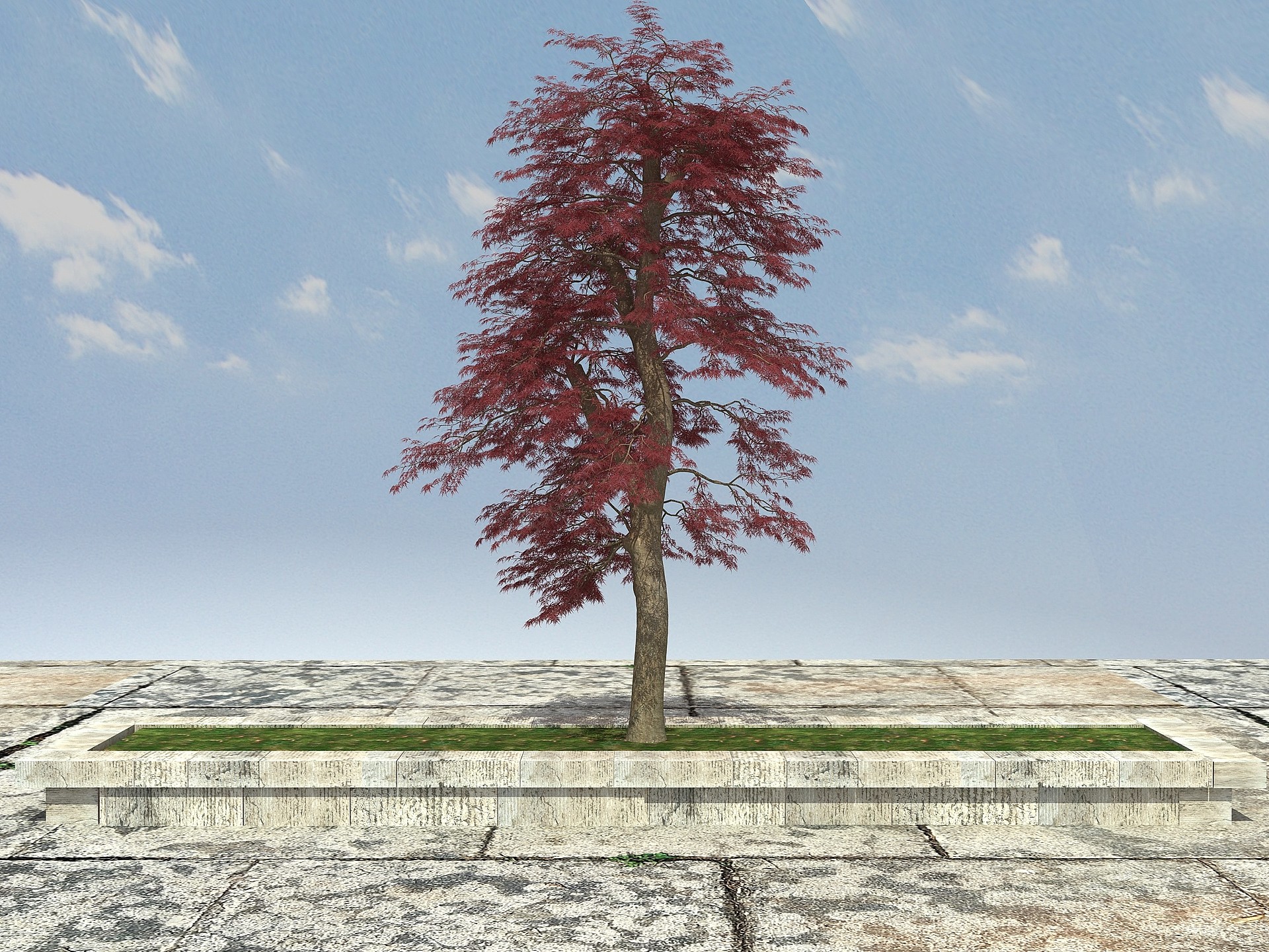 有造形大树植物3D模型
