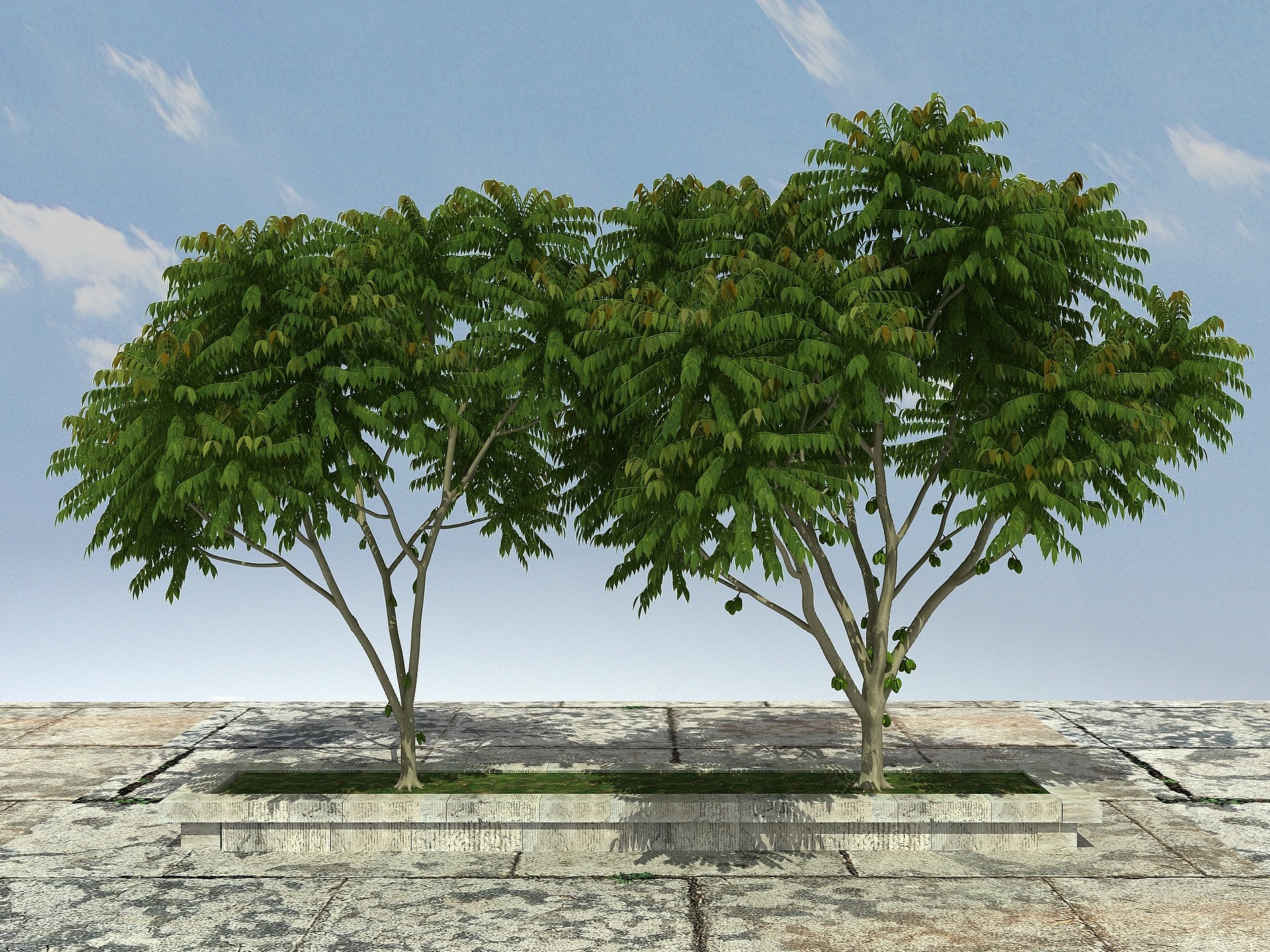 有层次植物3D模型