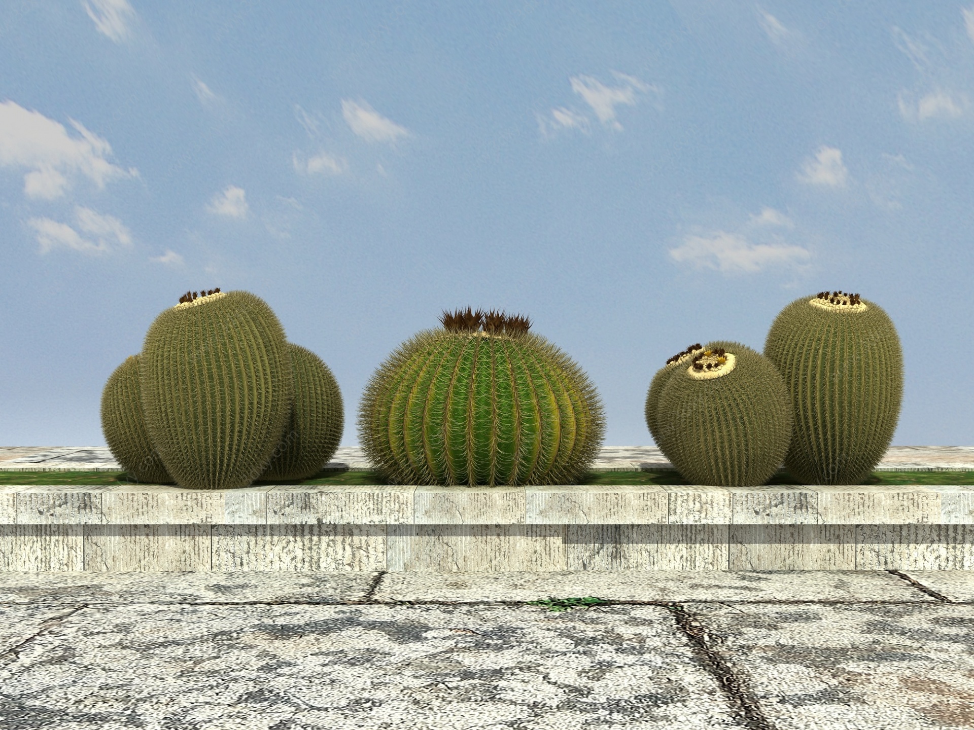热带植物仙人球3D模型