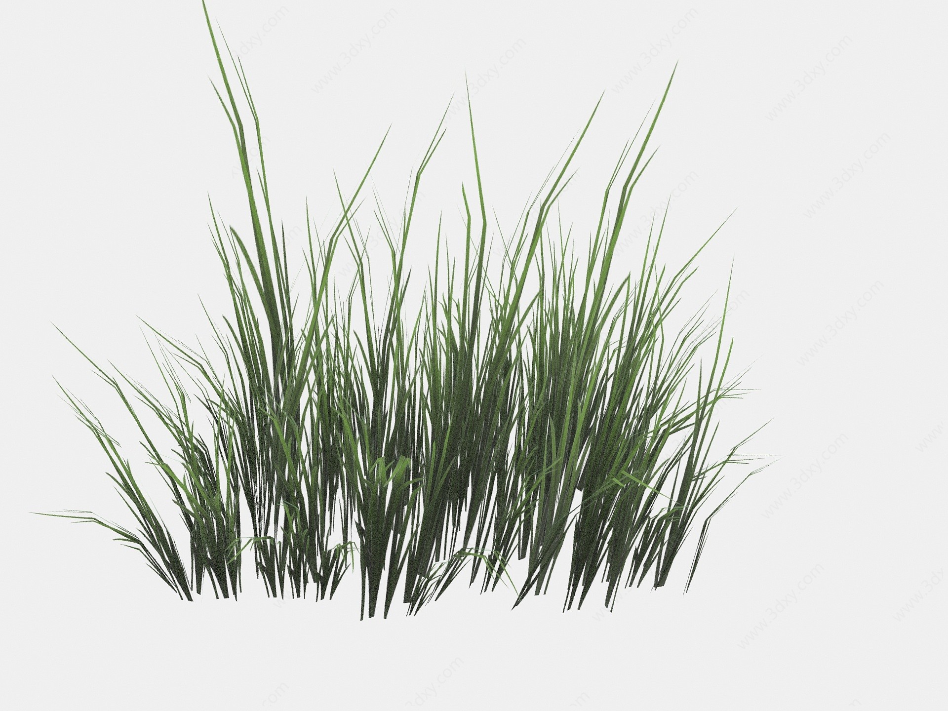 现代植物花草小草3D模型