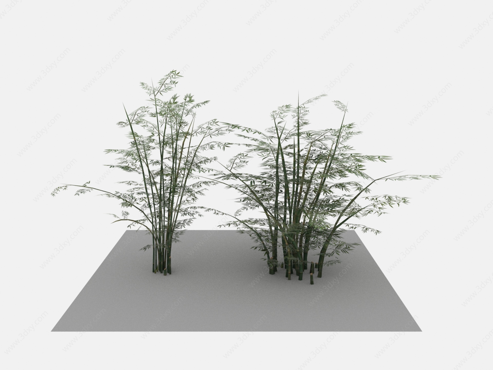 现代植物竹子成群3D模型