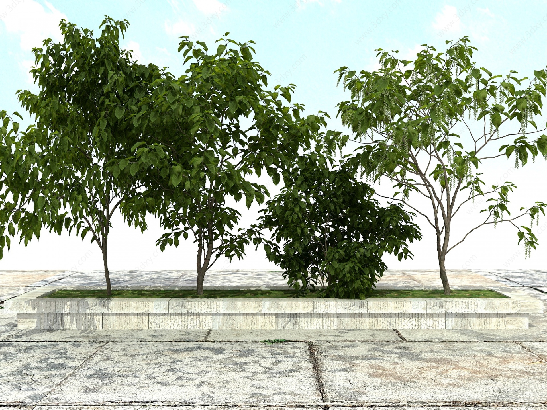 景观绿化观赏植物3D模型