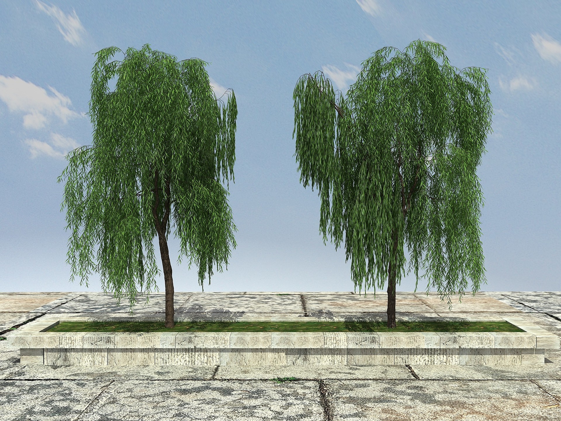 柳树植物3D模型