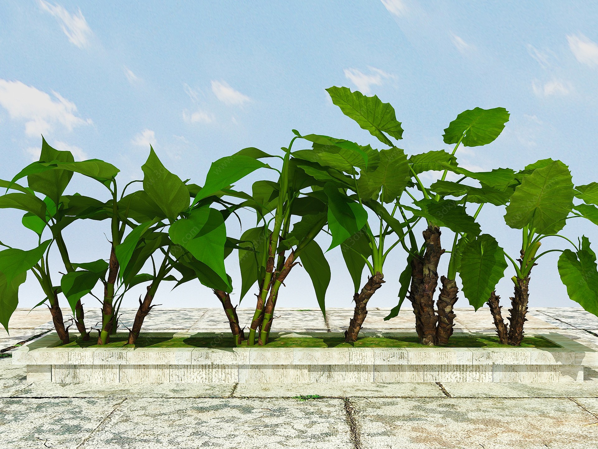 室内外景观植物3D模型