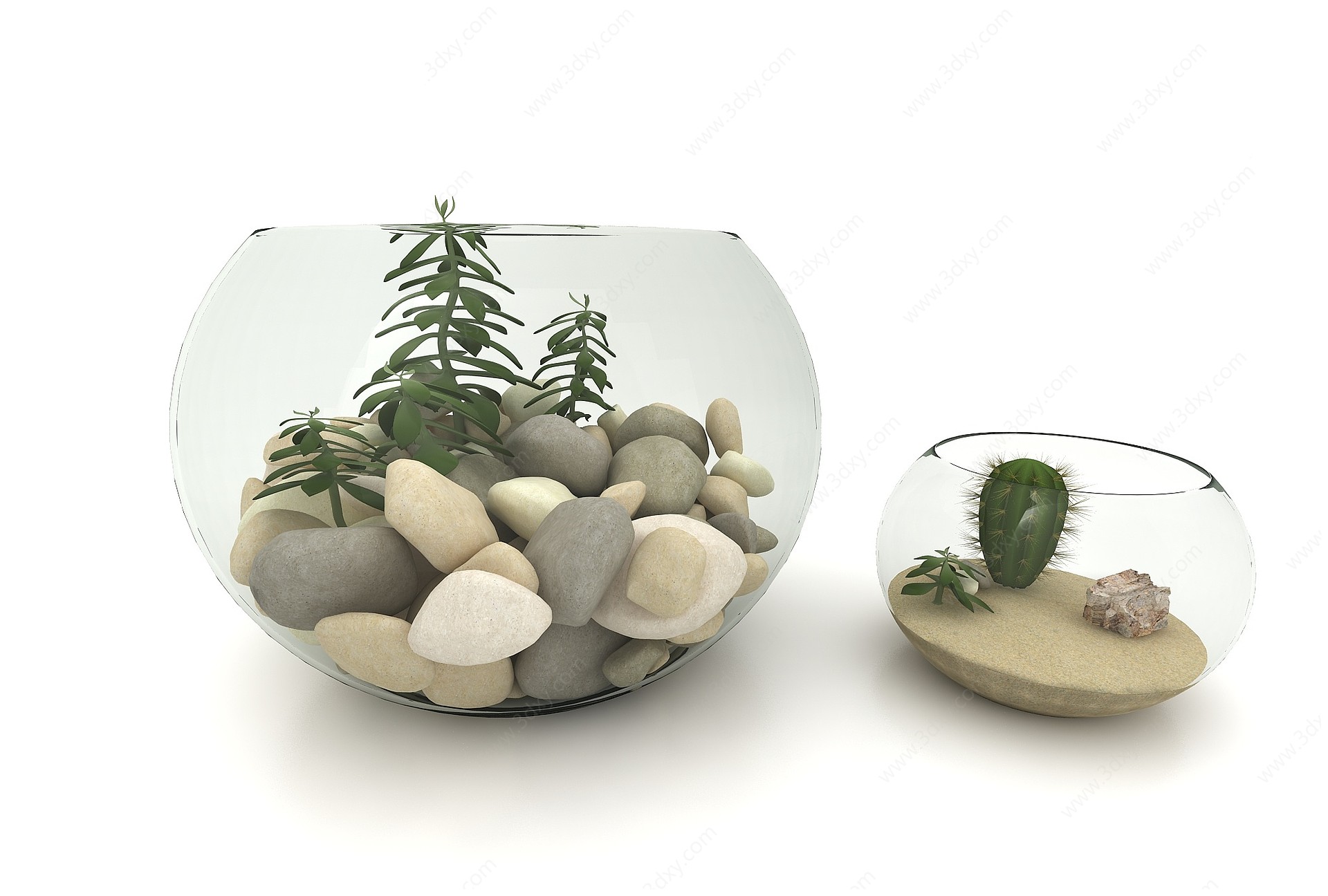 带石头的玻璃鱼缸3D模型