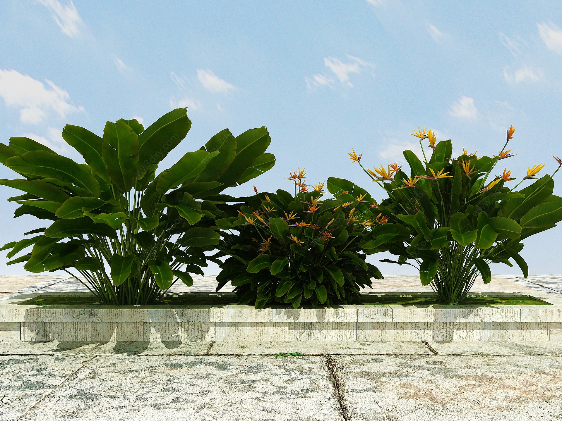 景观开花植物3D模型