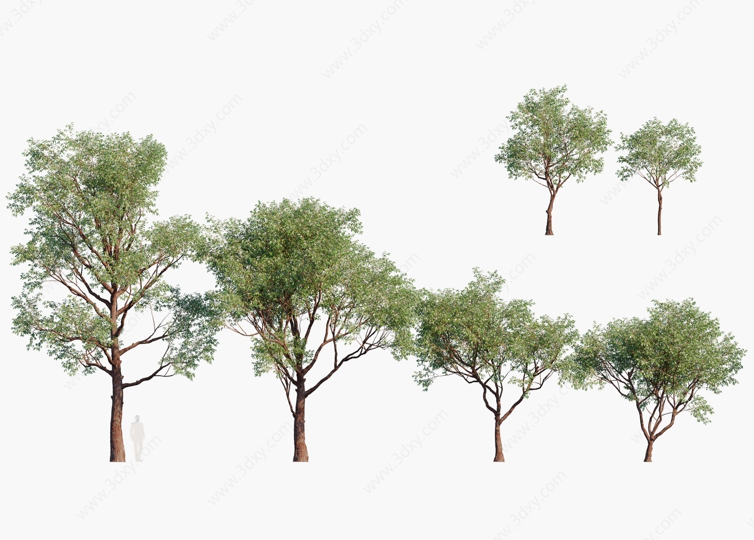 现代植物树木盆架树3D模型