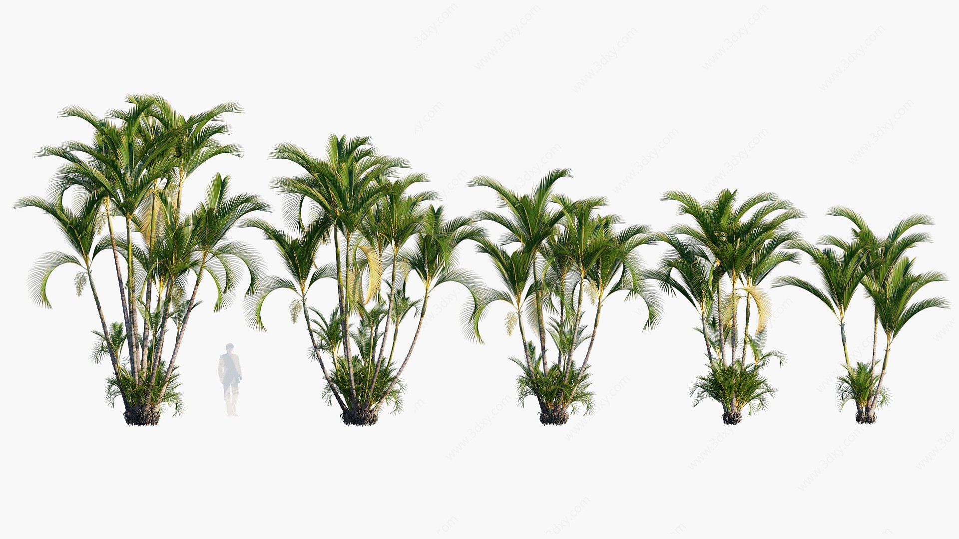 现代植物花草合集3D模型