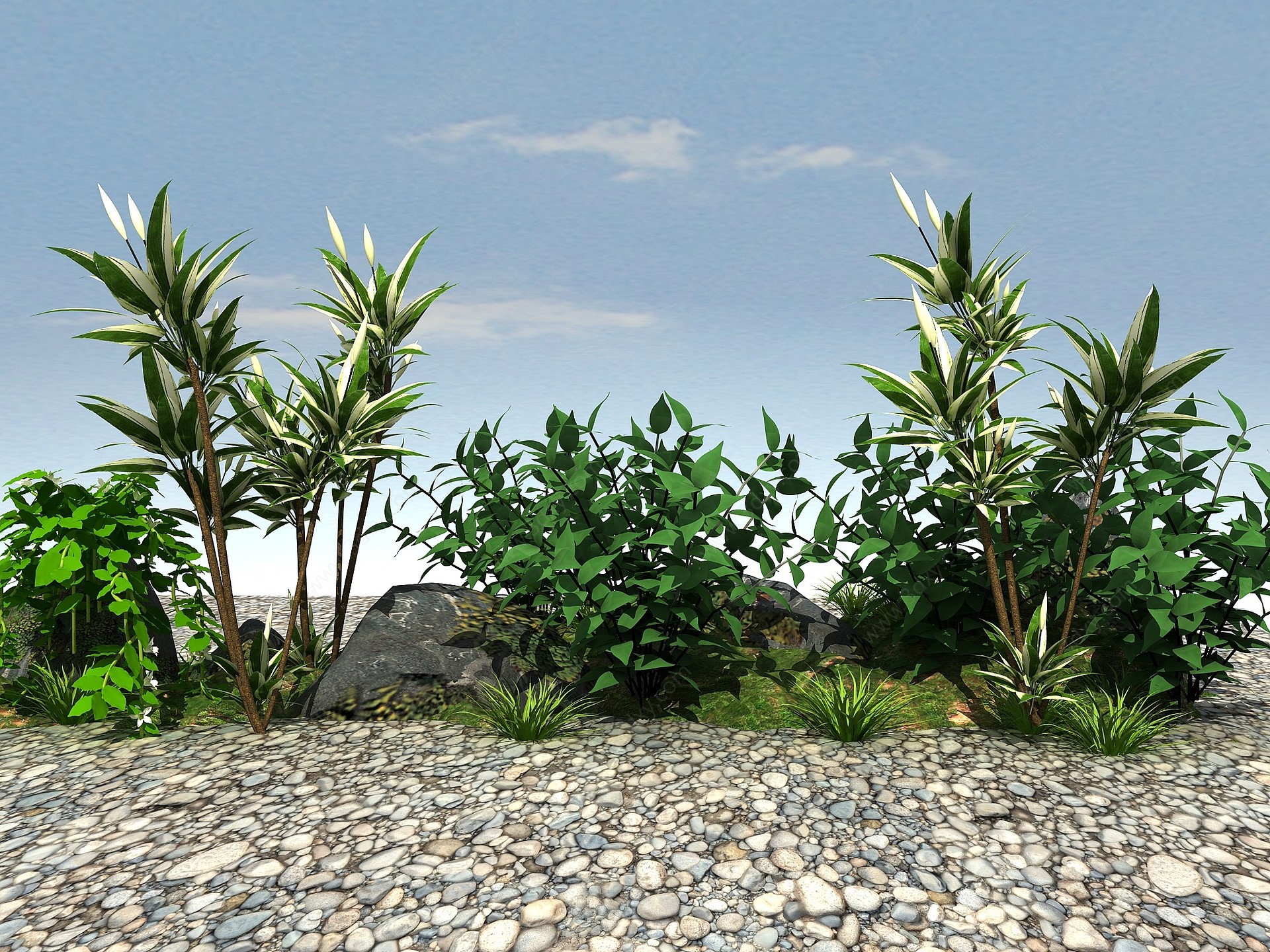 常绿景观植物3D模型