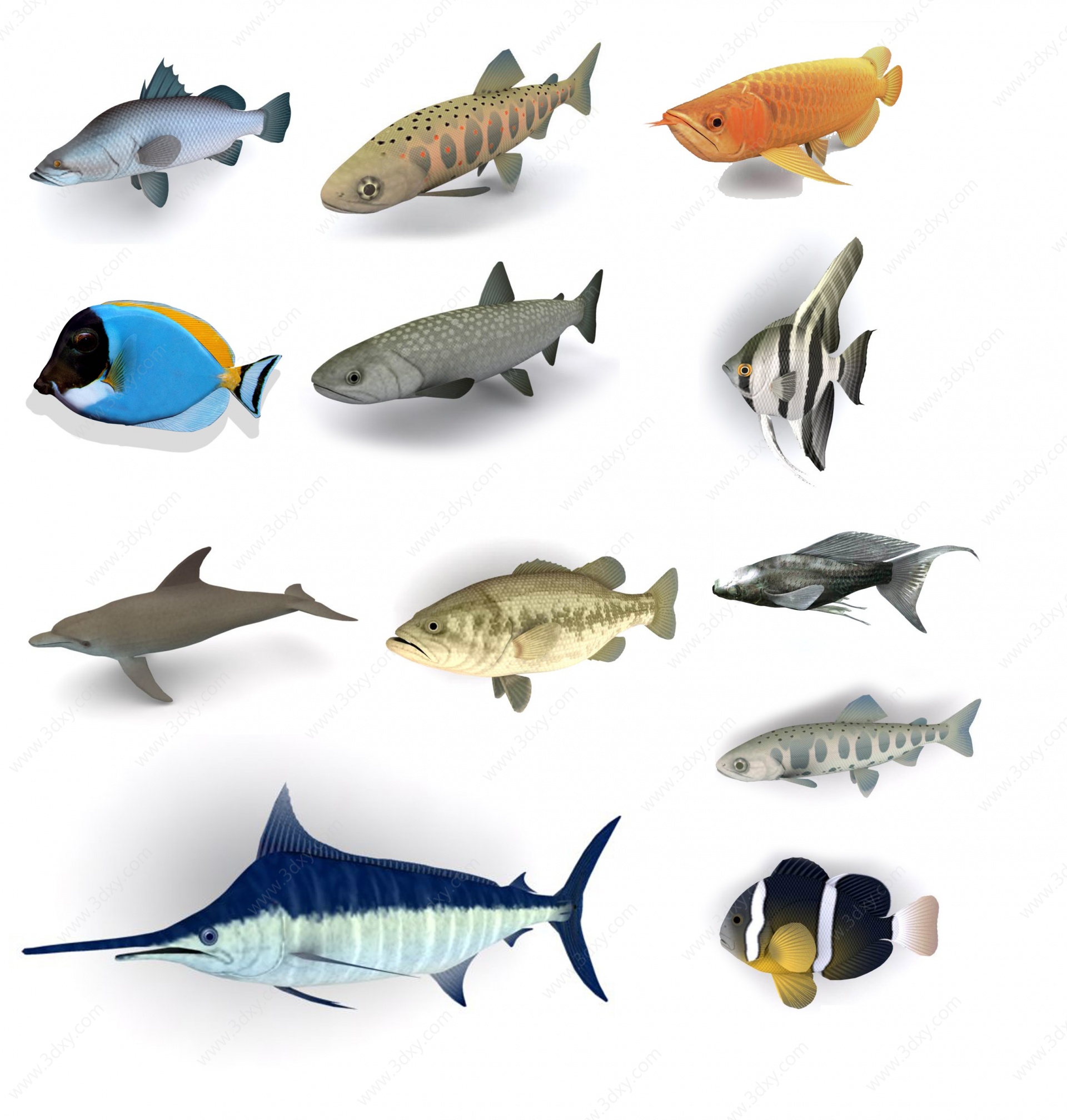 群体鱼3D模型
