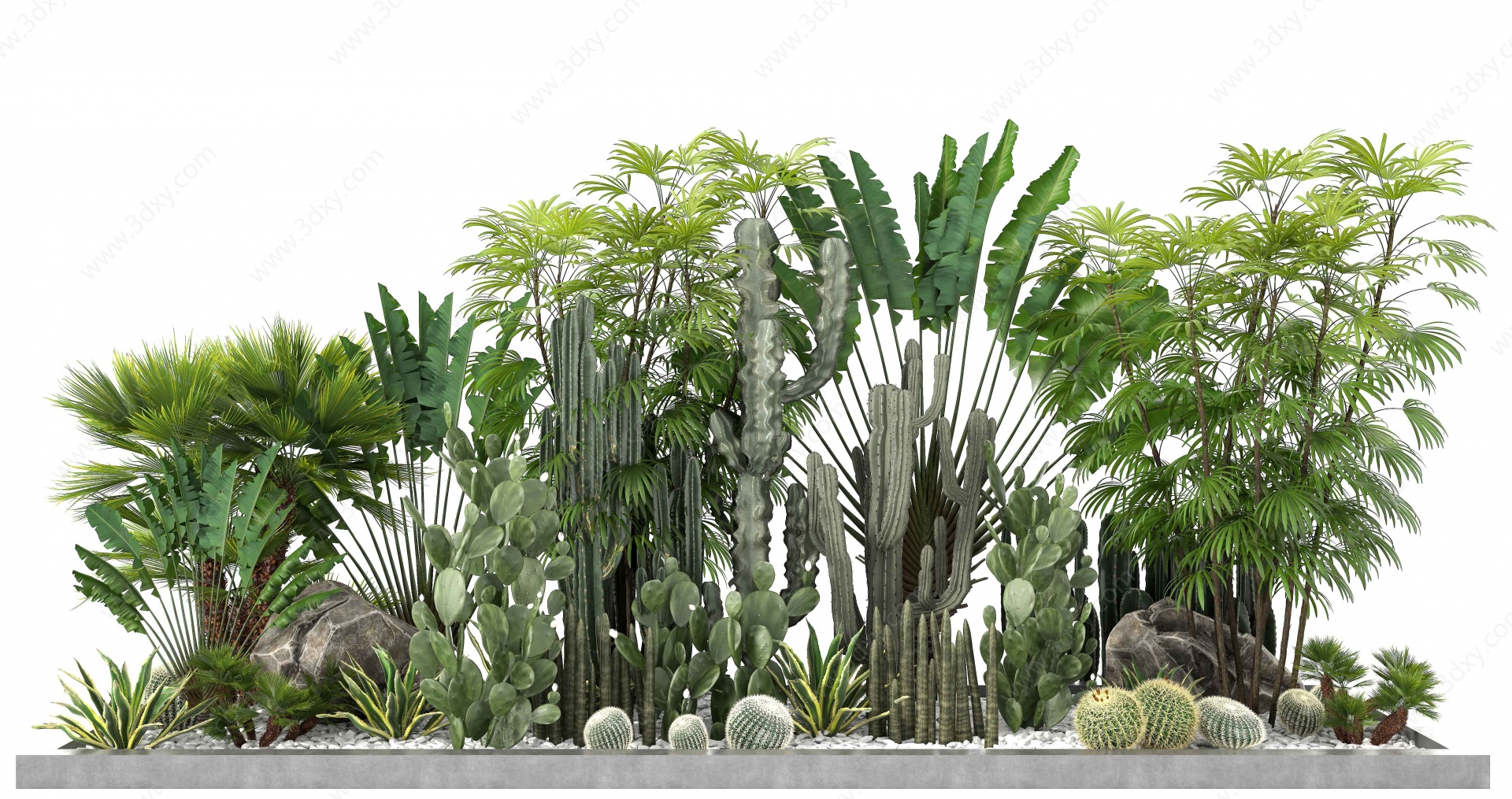 热带植物3D模型