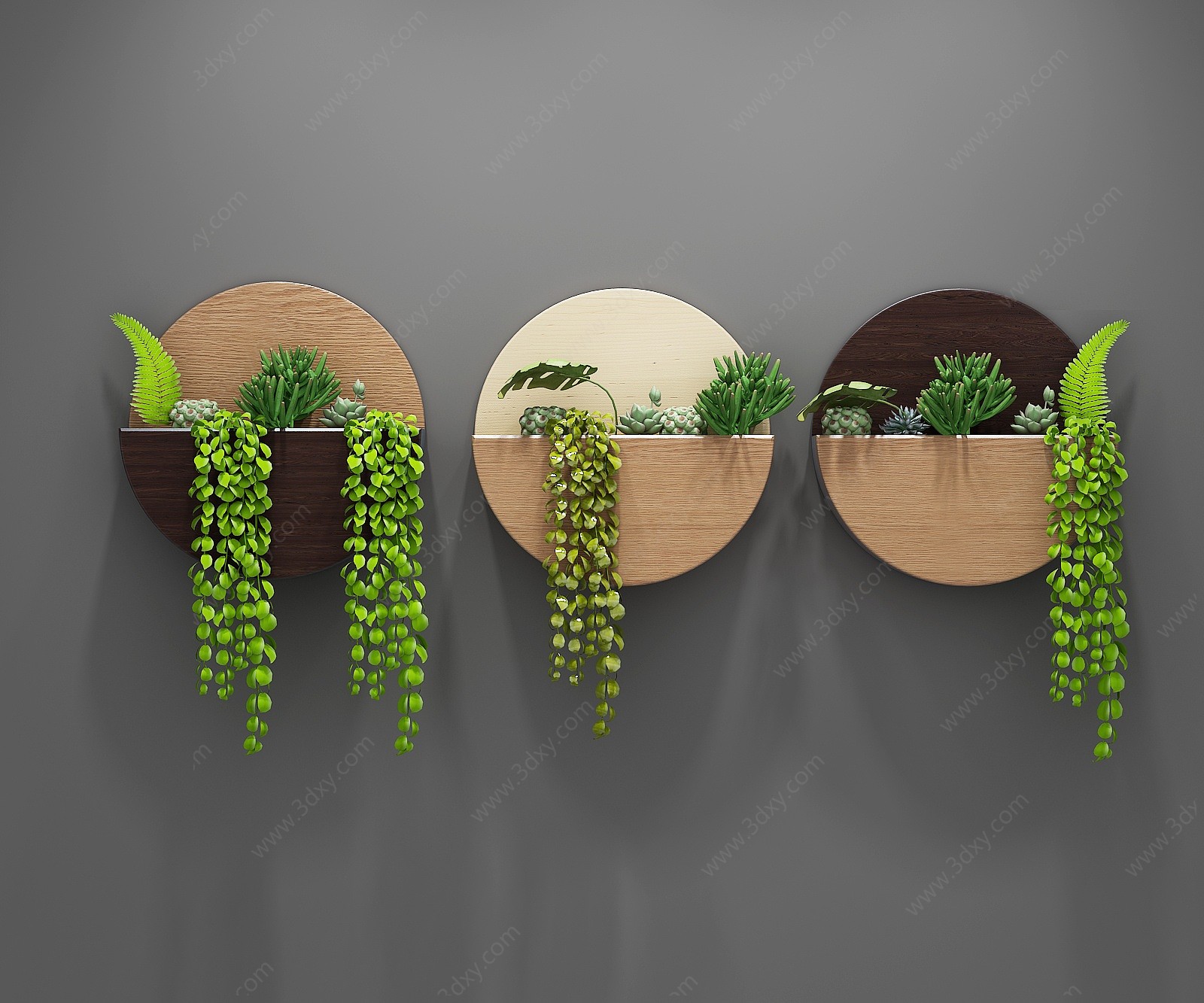 北欧现代多肉植物背景墙3D模型