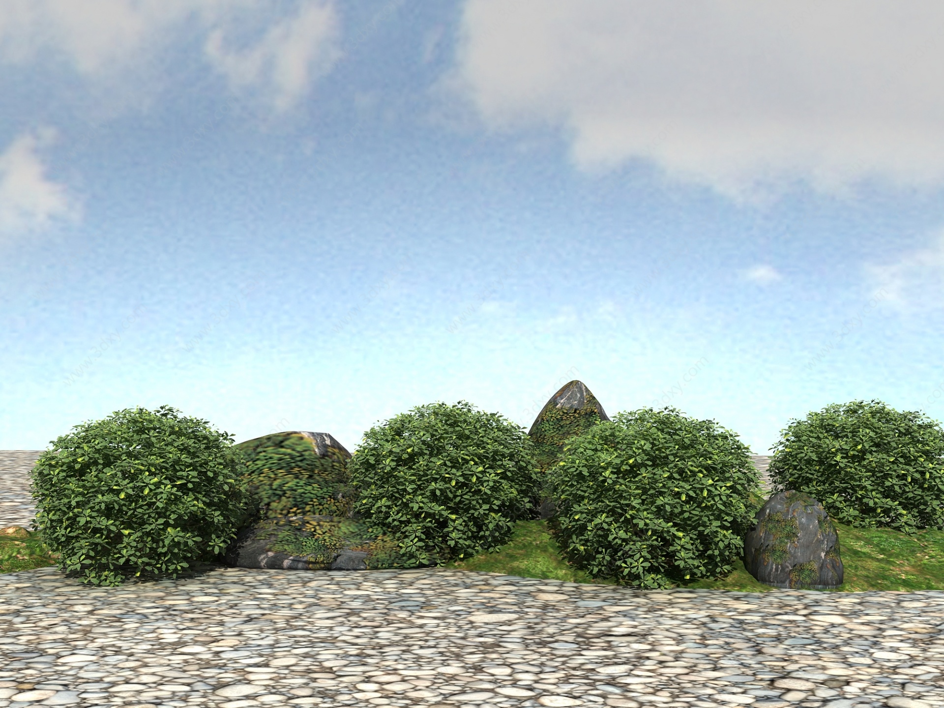 景观植物海桐球3D模型