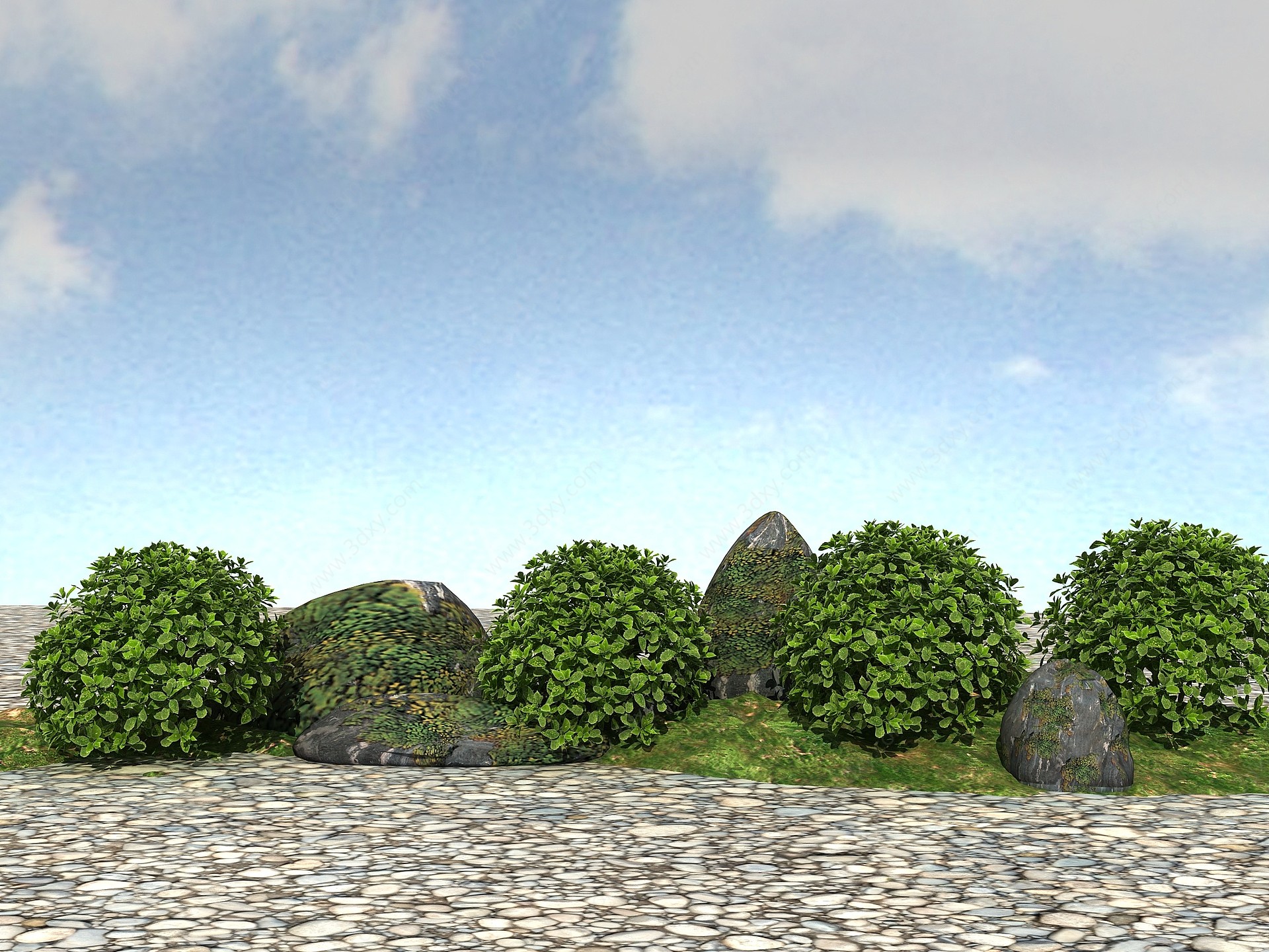 景观植物模型花叶青木3D模型