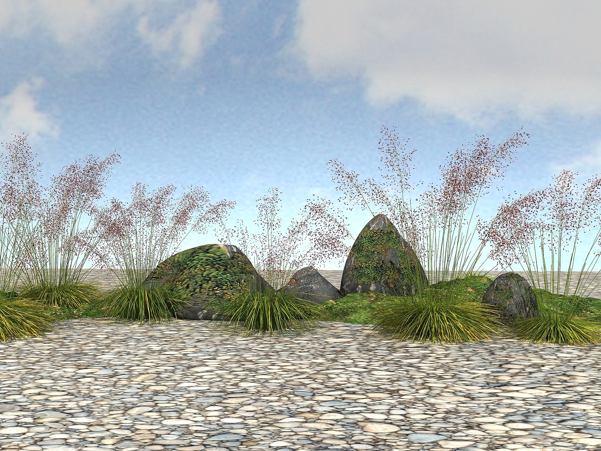 景观植物乱子草3D模型