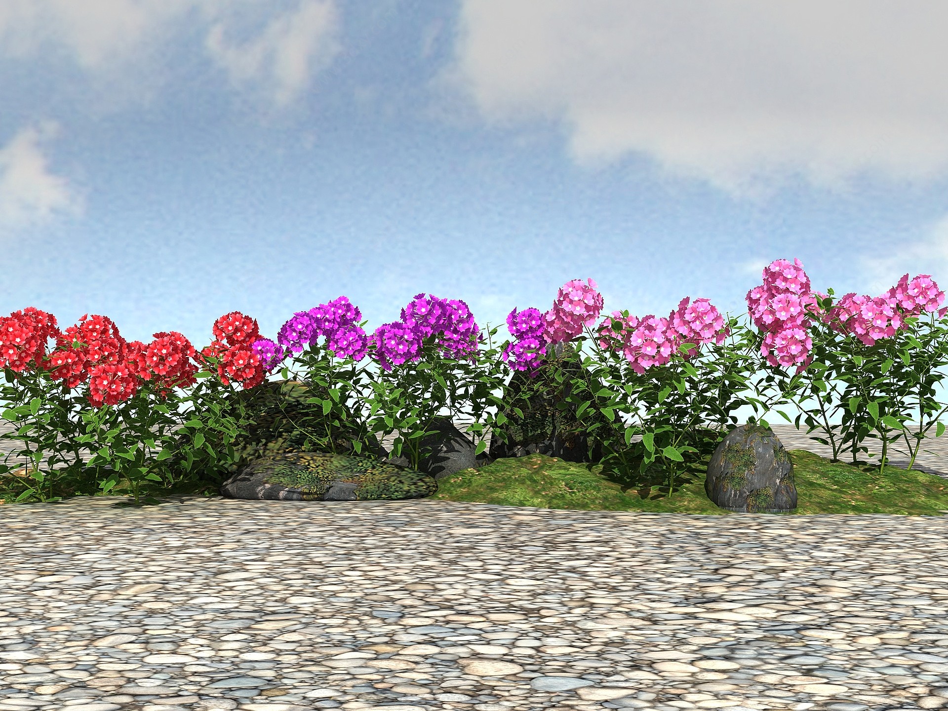 景观植物美女樱3D模型