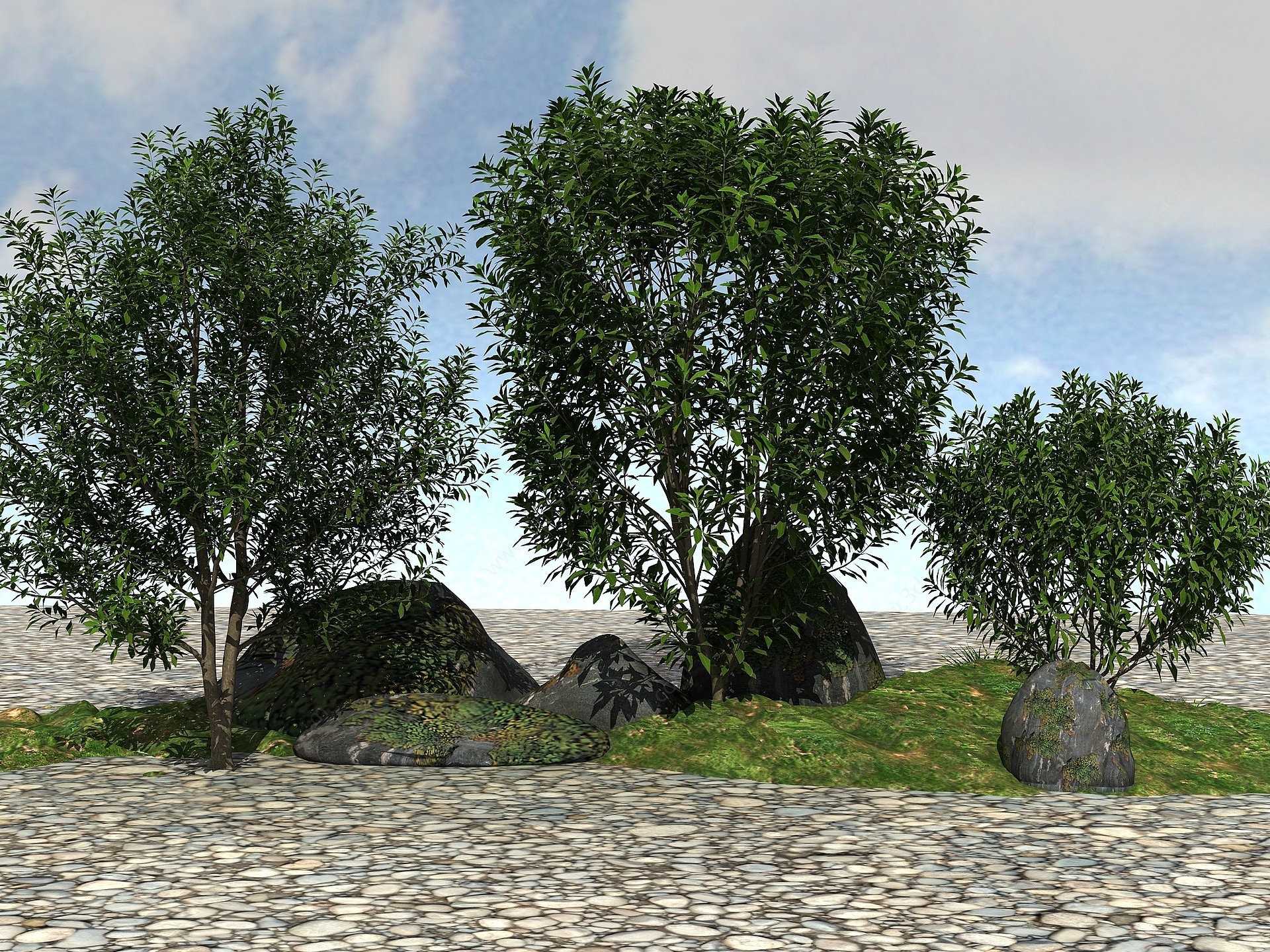 景观植物杨梅树3D模型