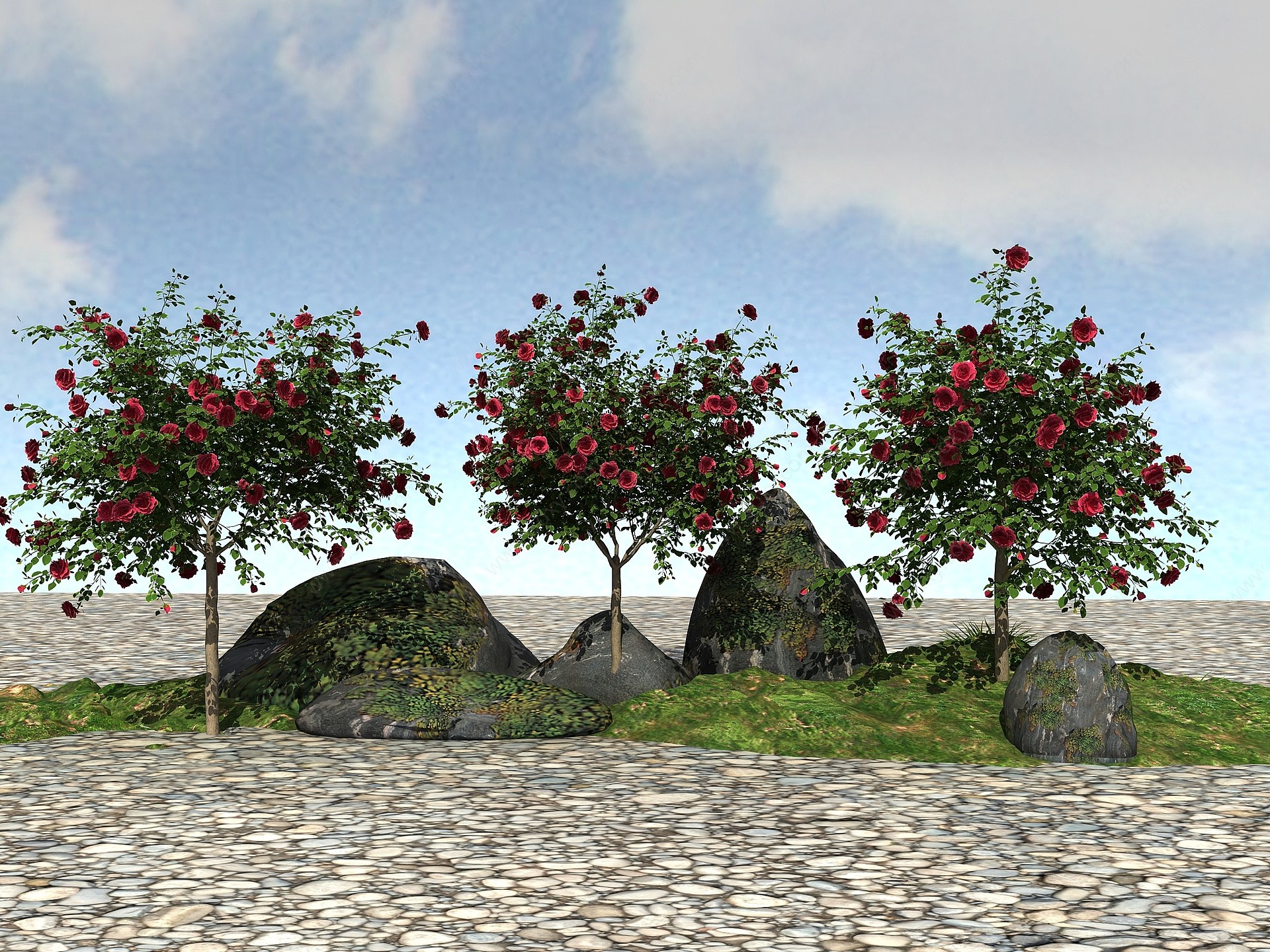 景观植物月季3D模型