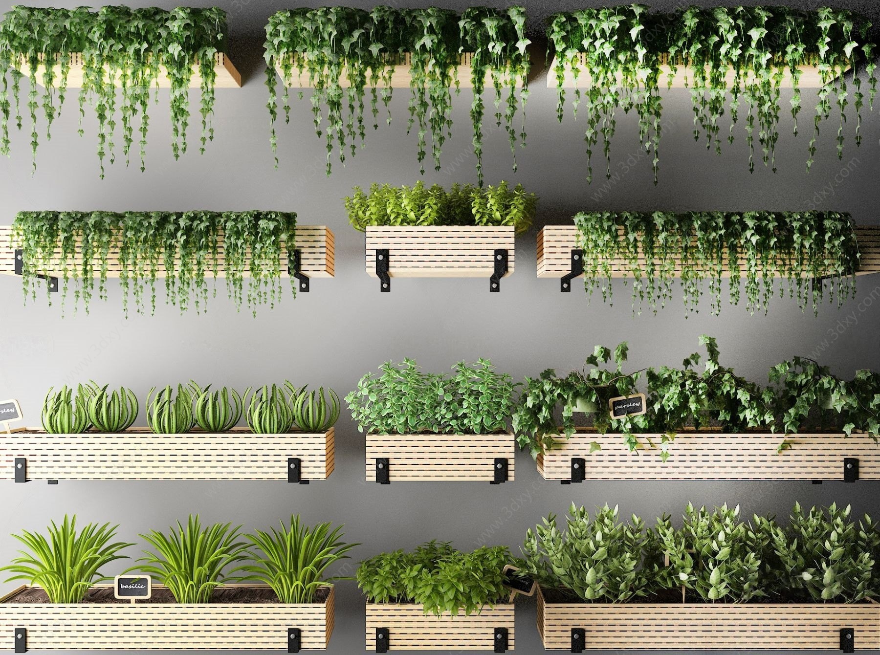 现代阳台植物3D模型