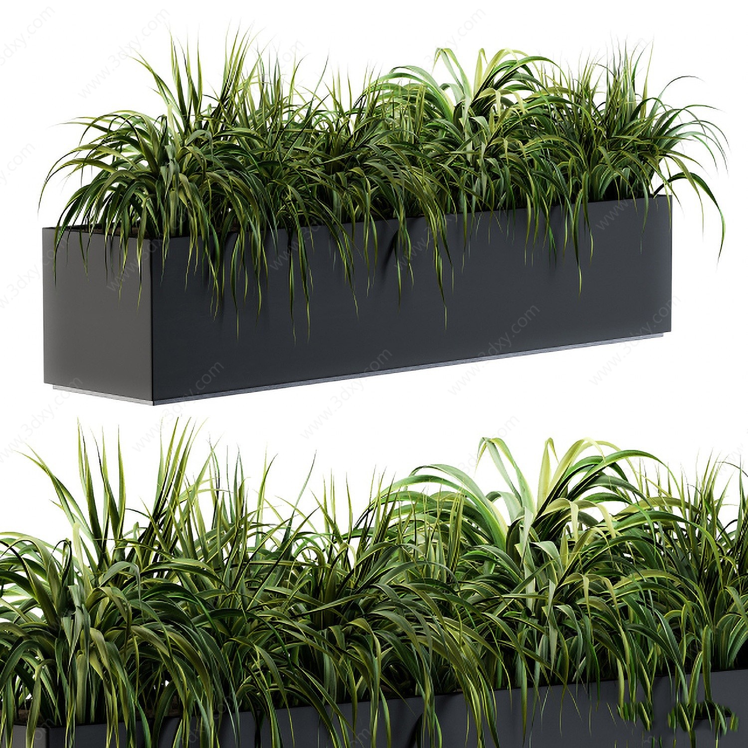 现代植物池3D模型
