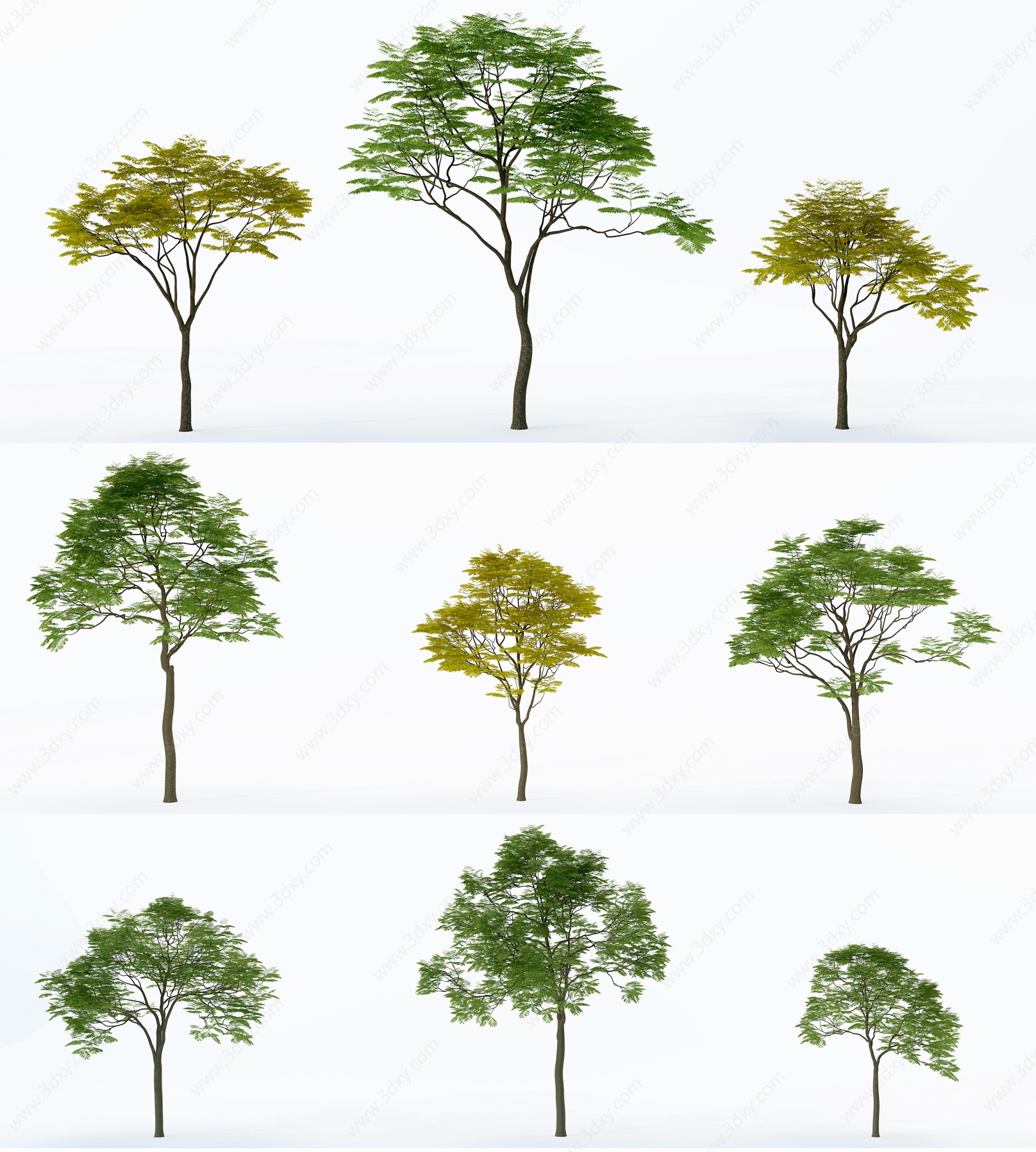 户外树木3D模型