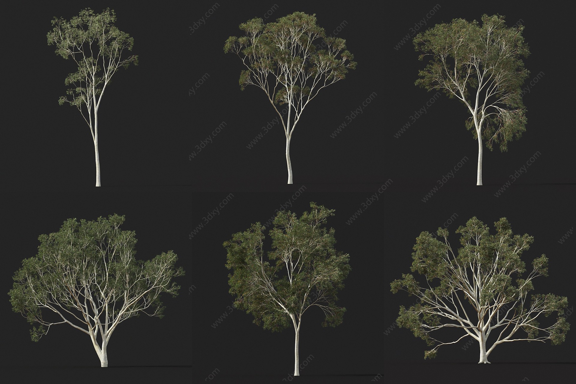 现代树景观树3D模型