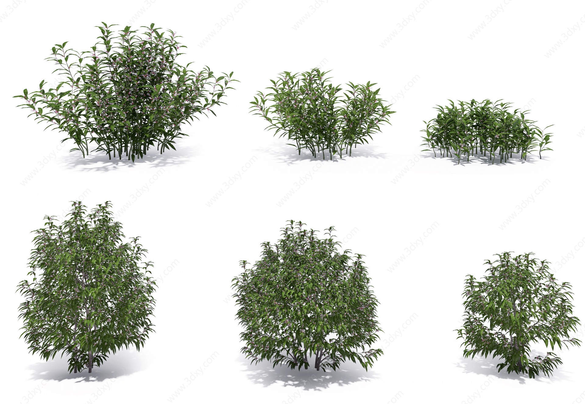 现代绿植灌木丛3D模型