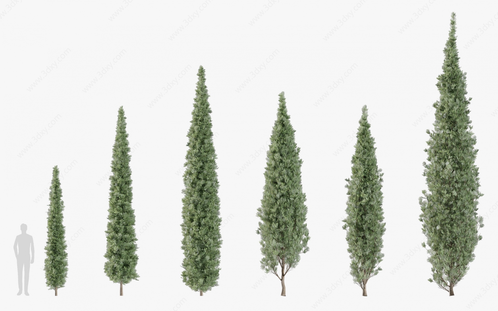 现代植物树木3D模型