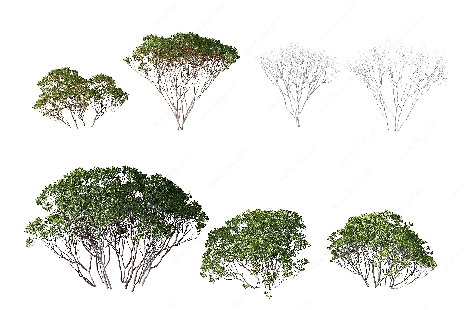 现代红树灌木3D模型