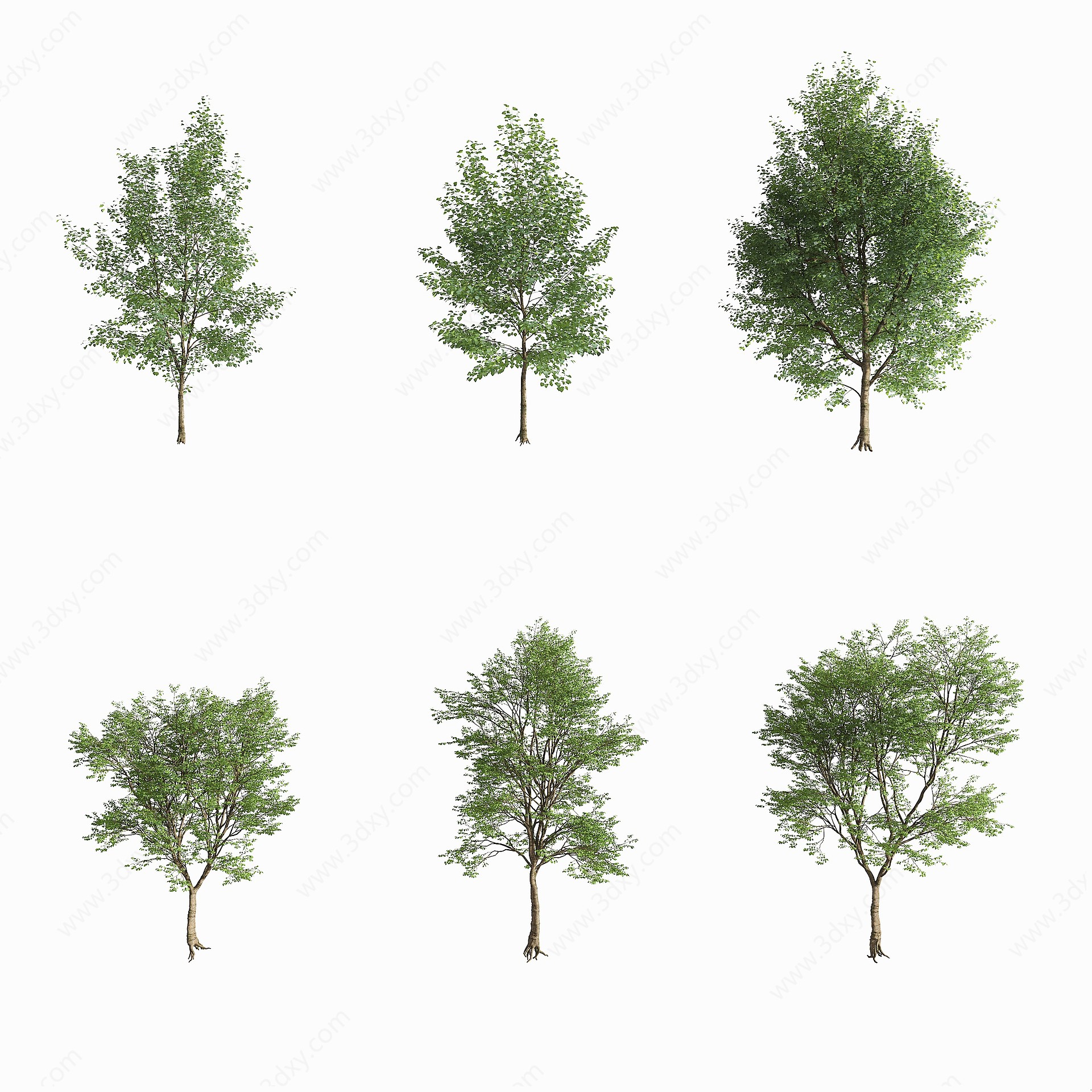 现代景观树3D模型