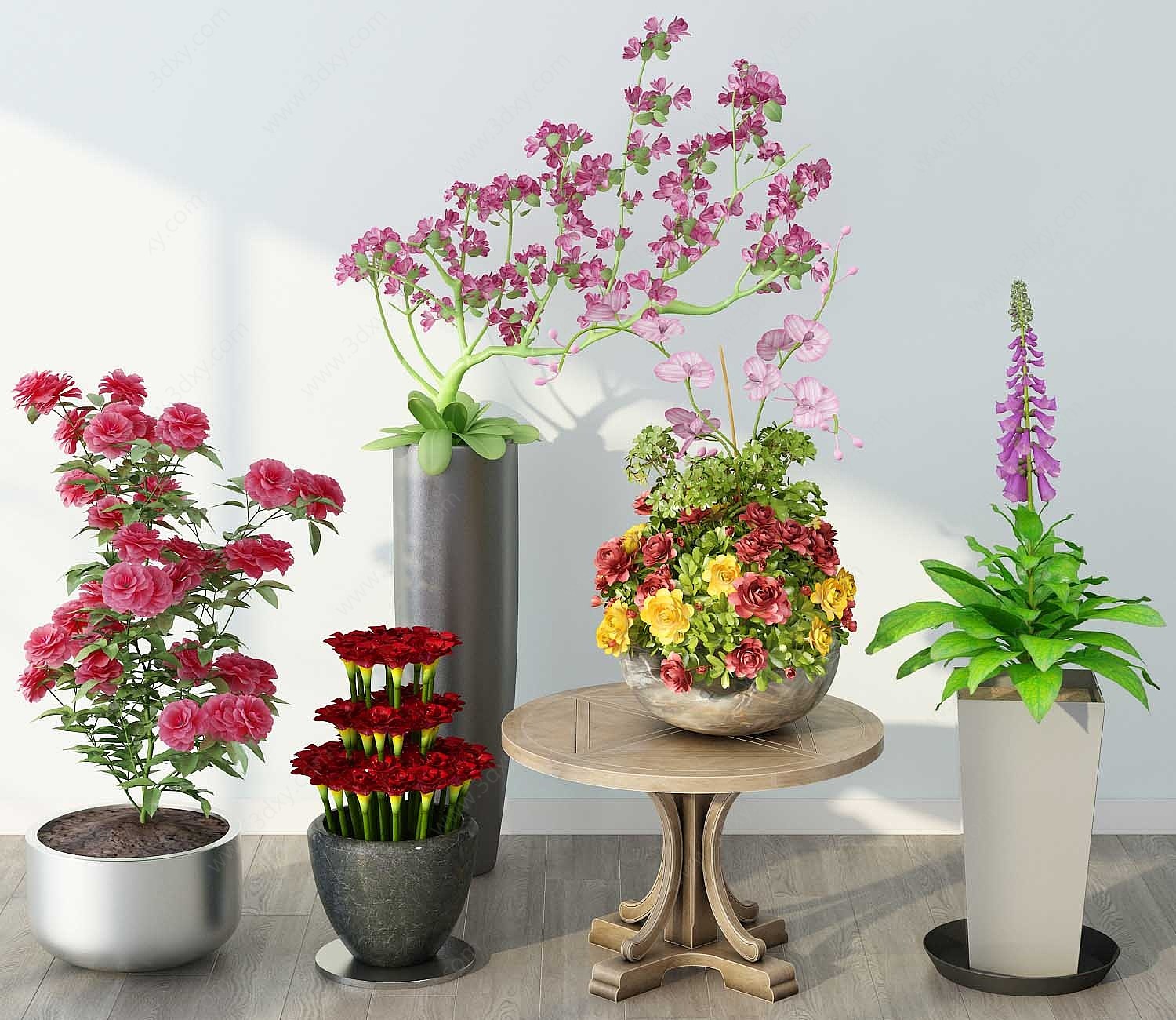 现代大型植物盆栽3D模型