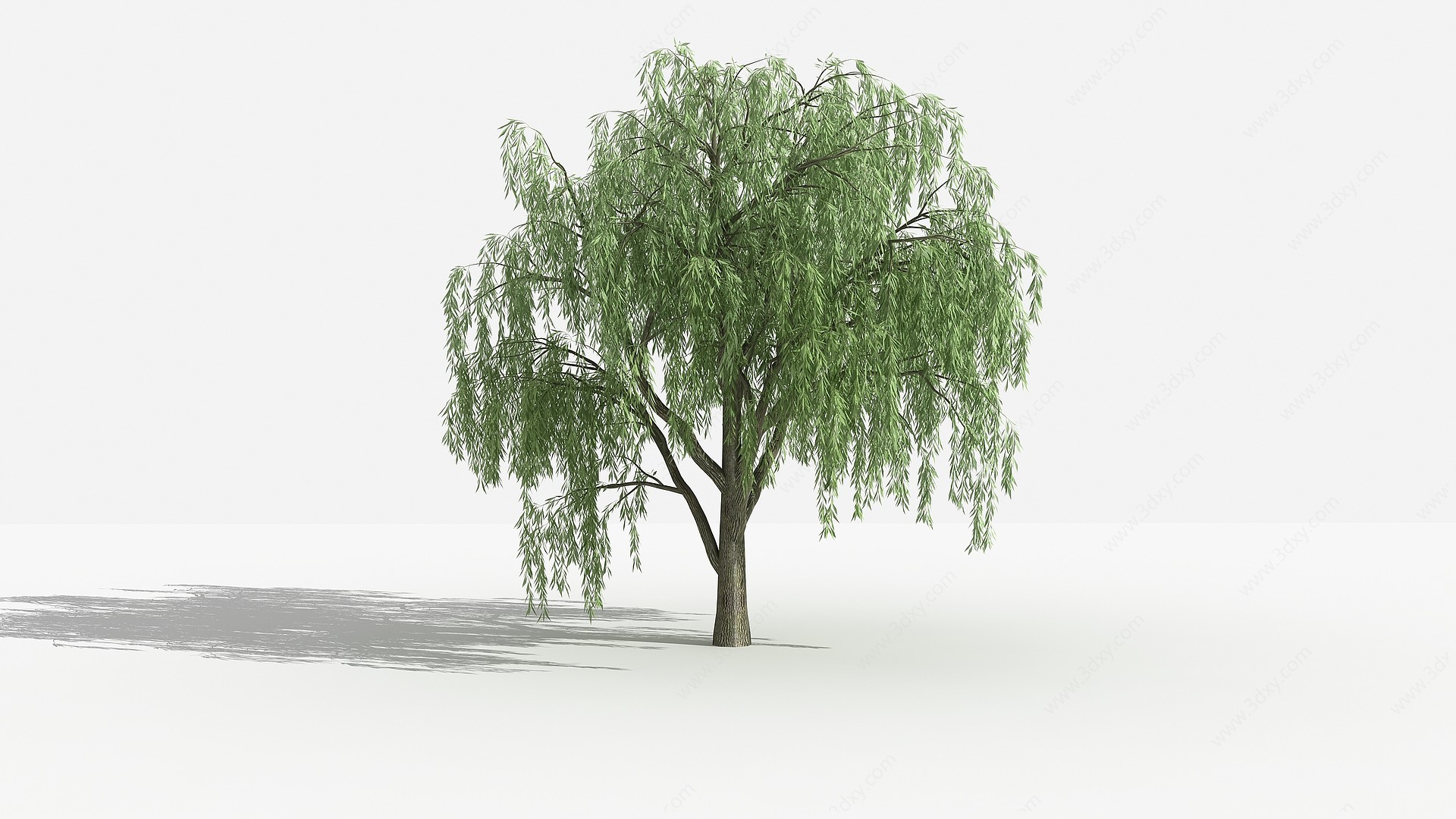 垂柳灌木树植物3D模型