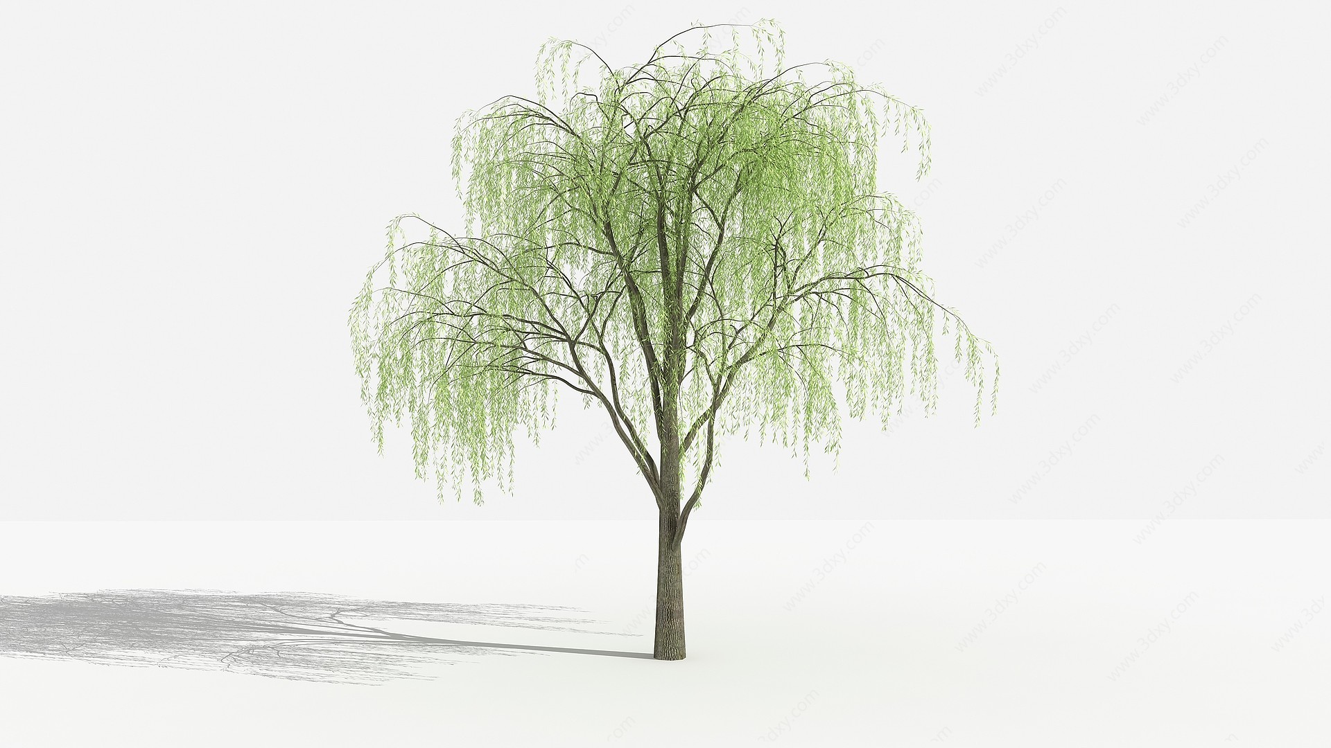 垂柳灌木树3D模型