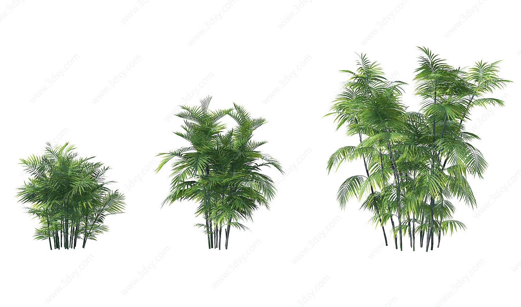 现代竹子3D模型