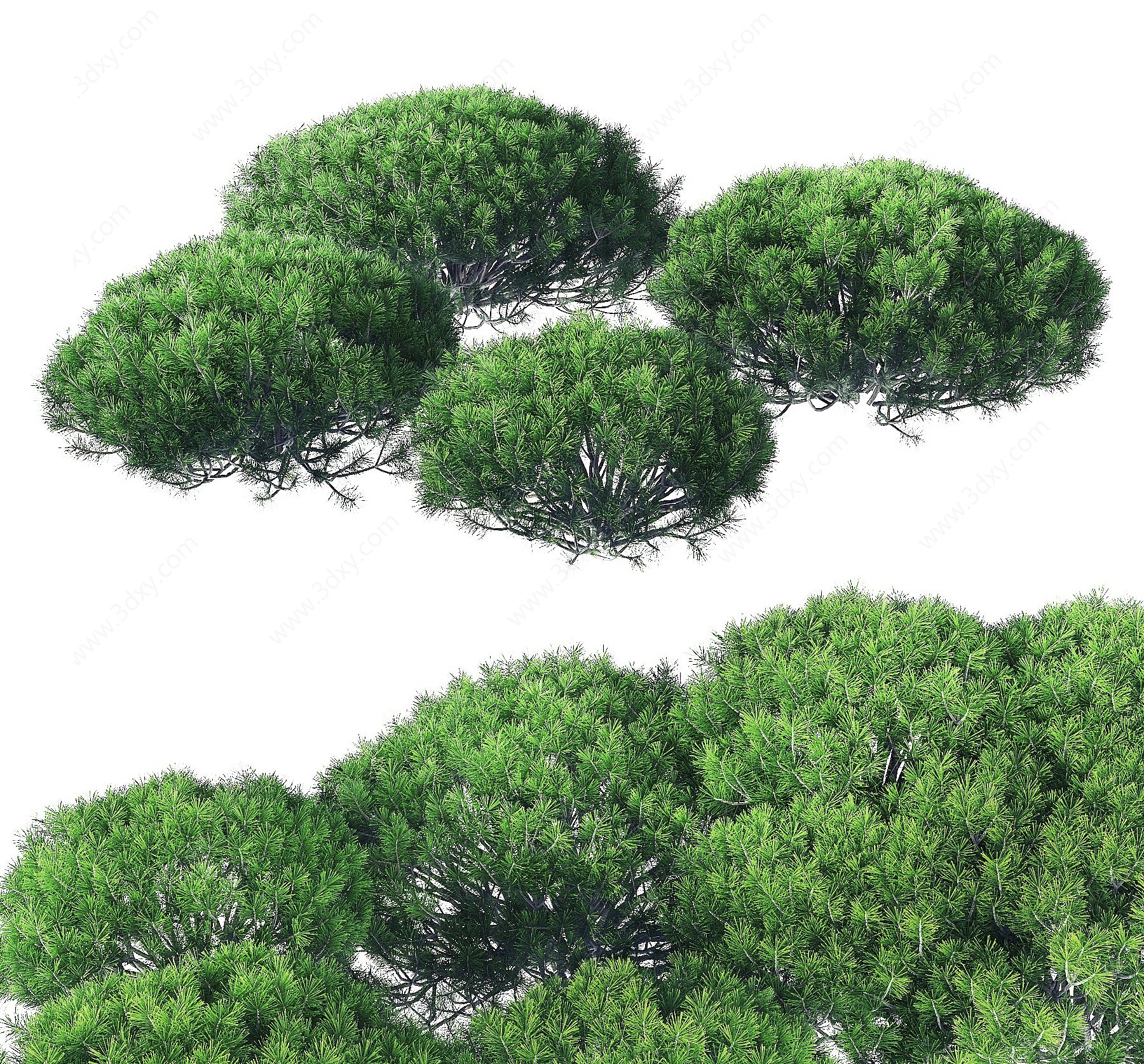 现代绿植灌木3D模型