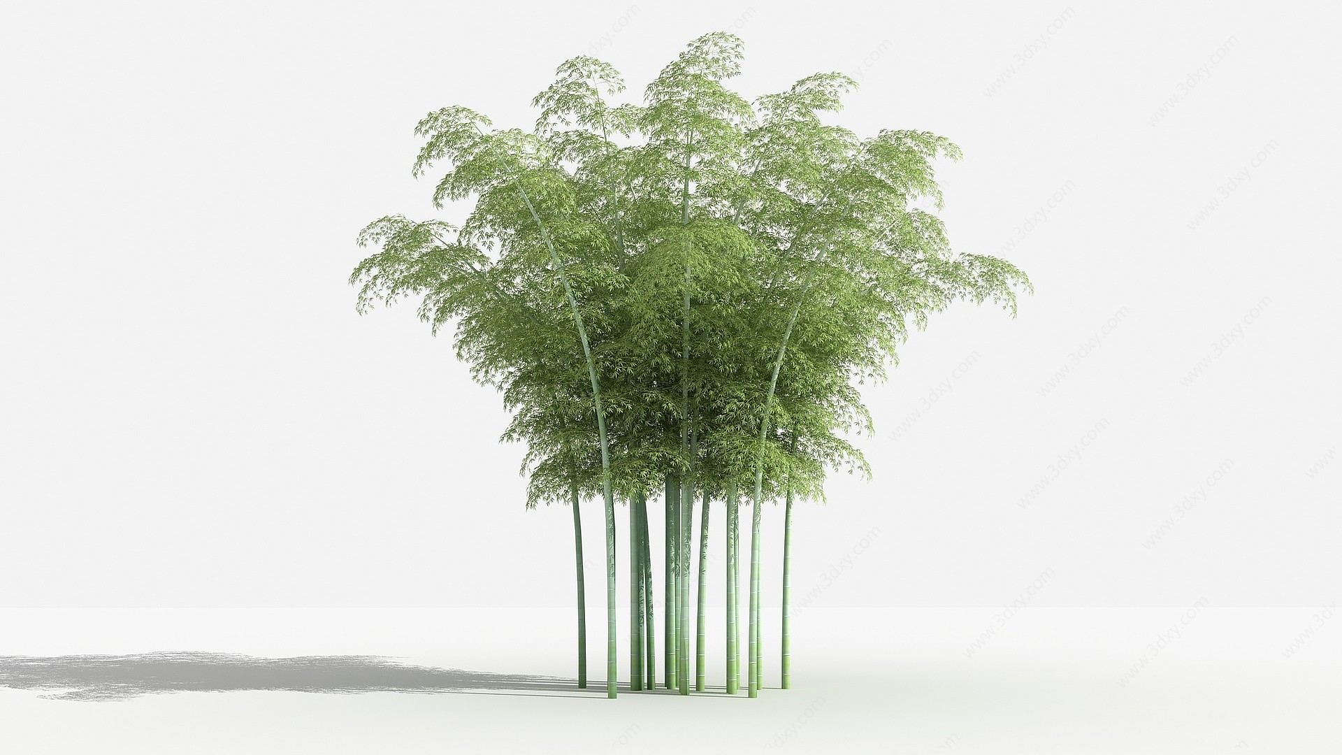 中式毛竹灌木树3D模型