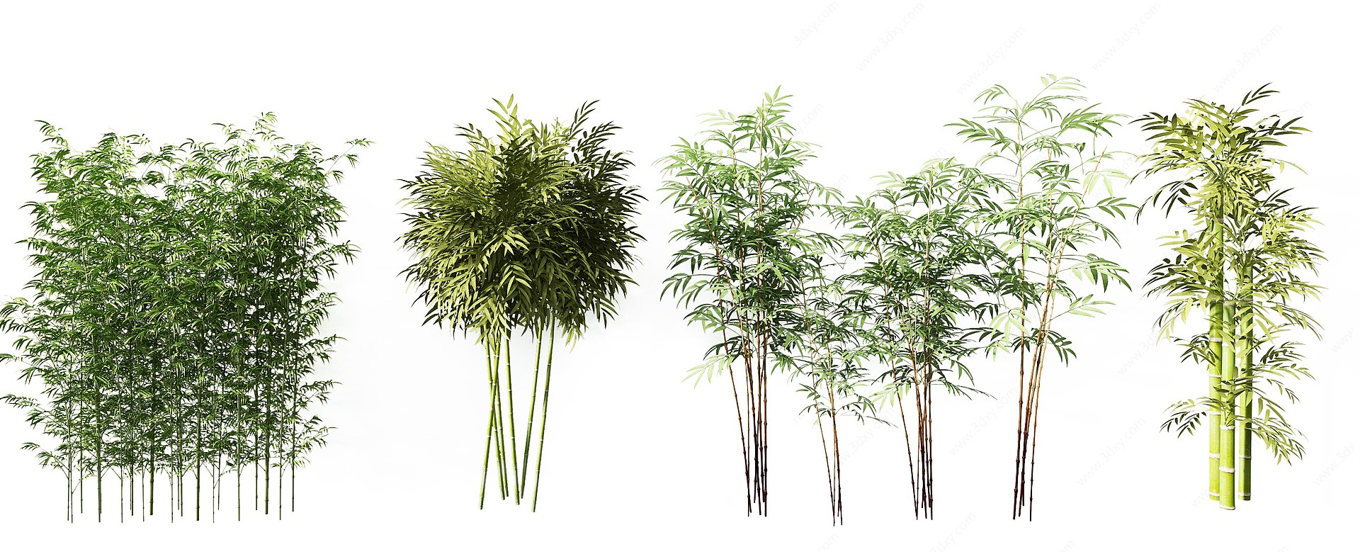 新中式竹子组合3D模型