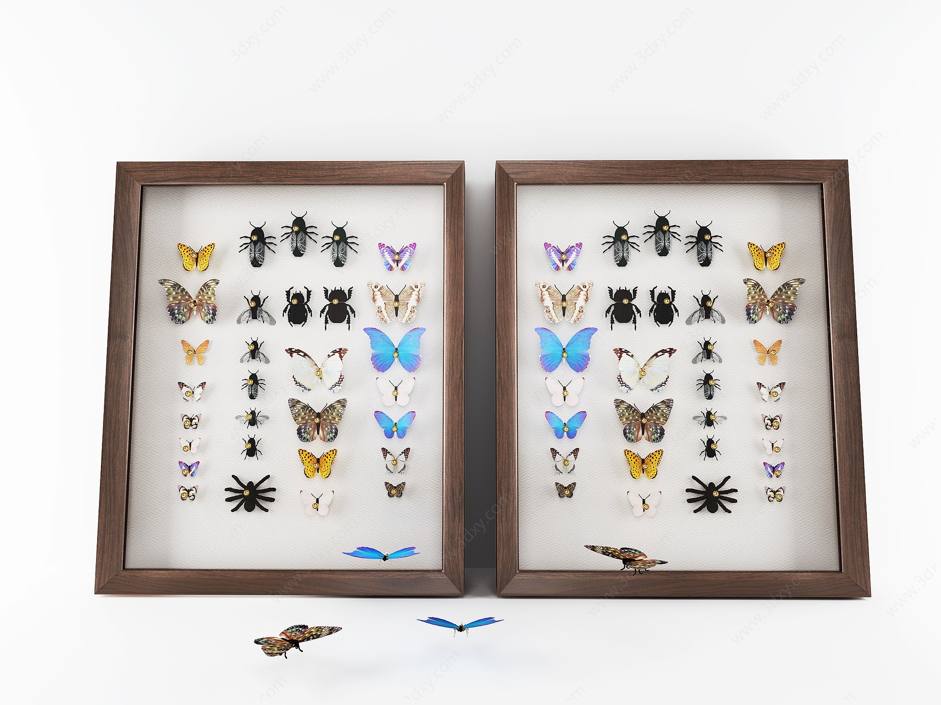 现代蝴蝶昆虫标本挂件3D模型