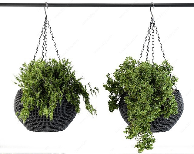现代悬挂花盆植物盆栽3D模型
