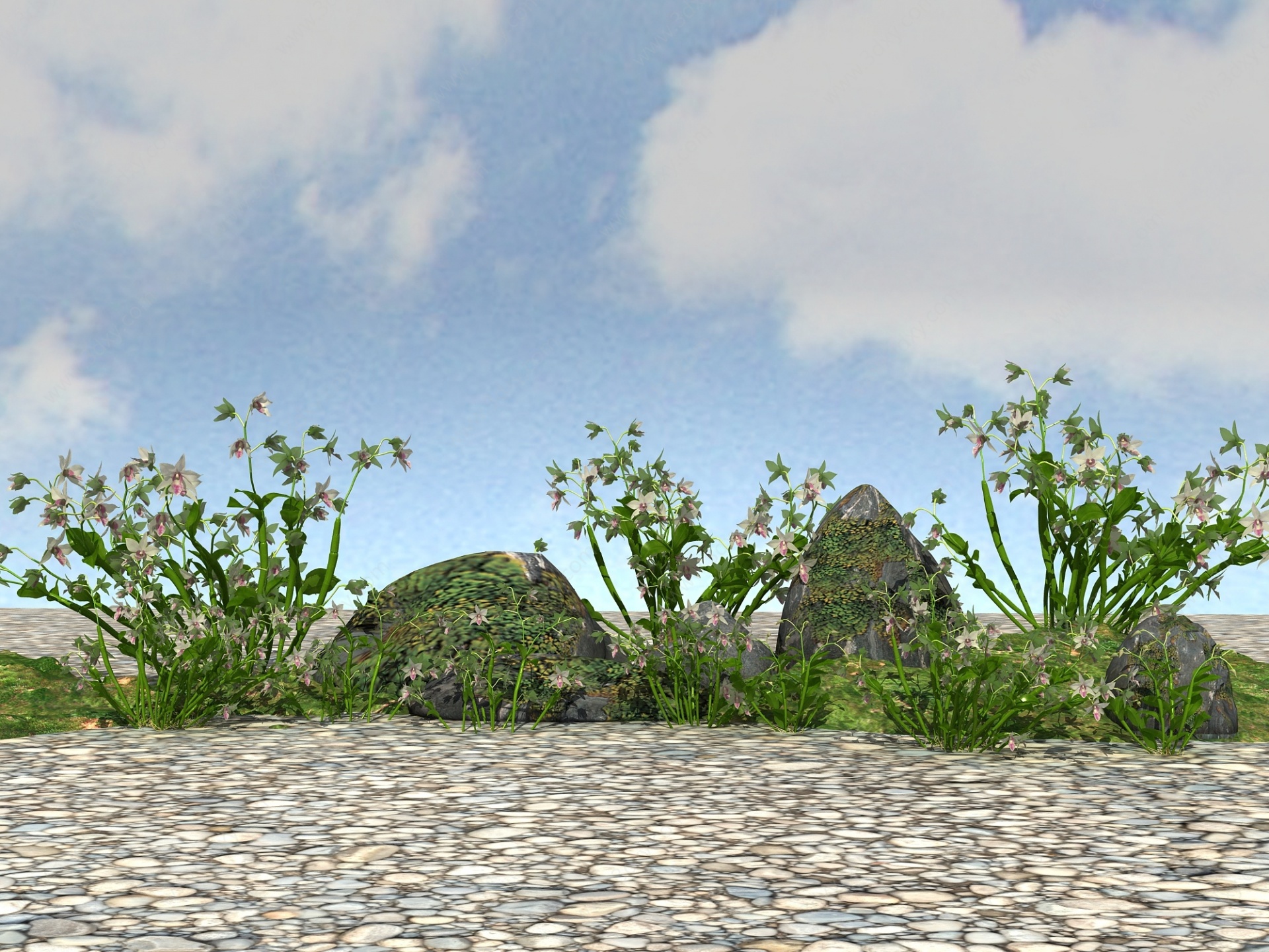 精品景观开花植物3D模型