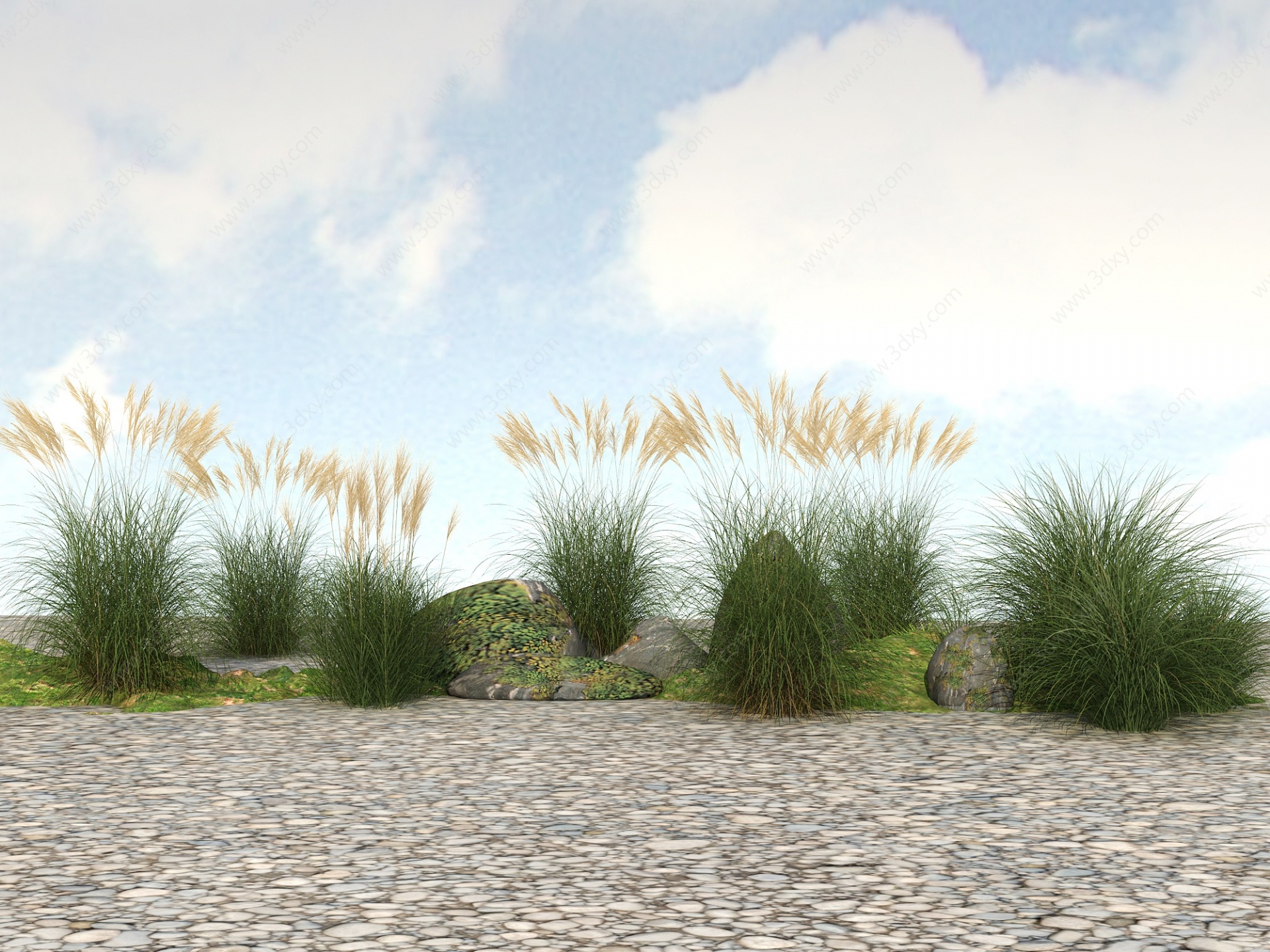 精品景观开花植物花草3D模型